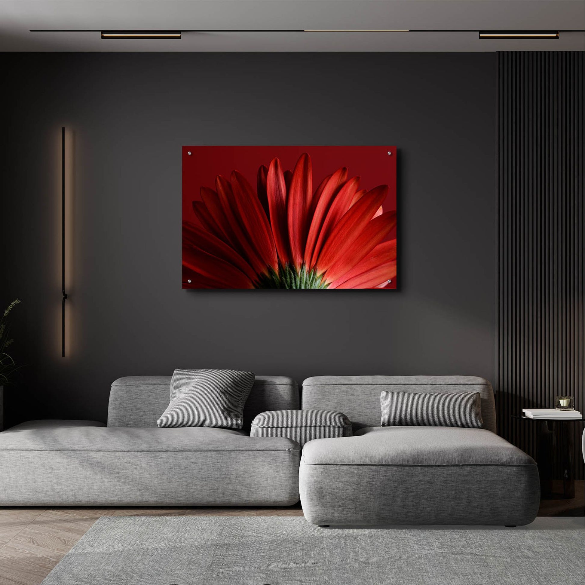 Epic Art 'Red Gerbera on Red 09' by Tom Quartermaine, Acrylic Glass Wall Art,36x24