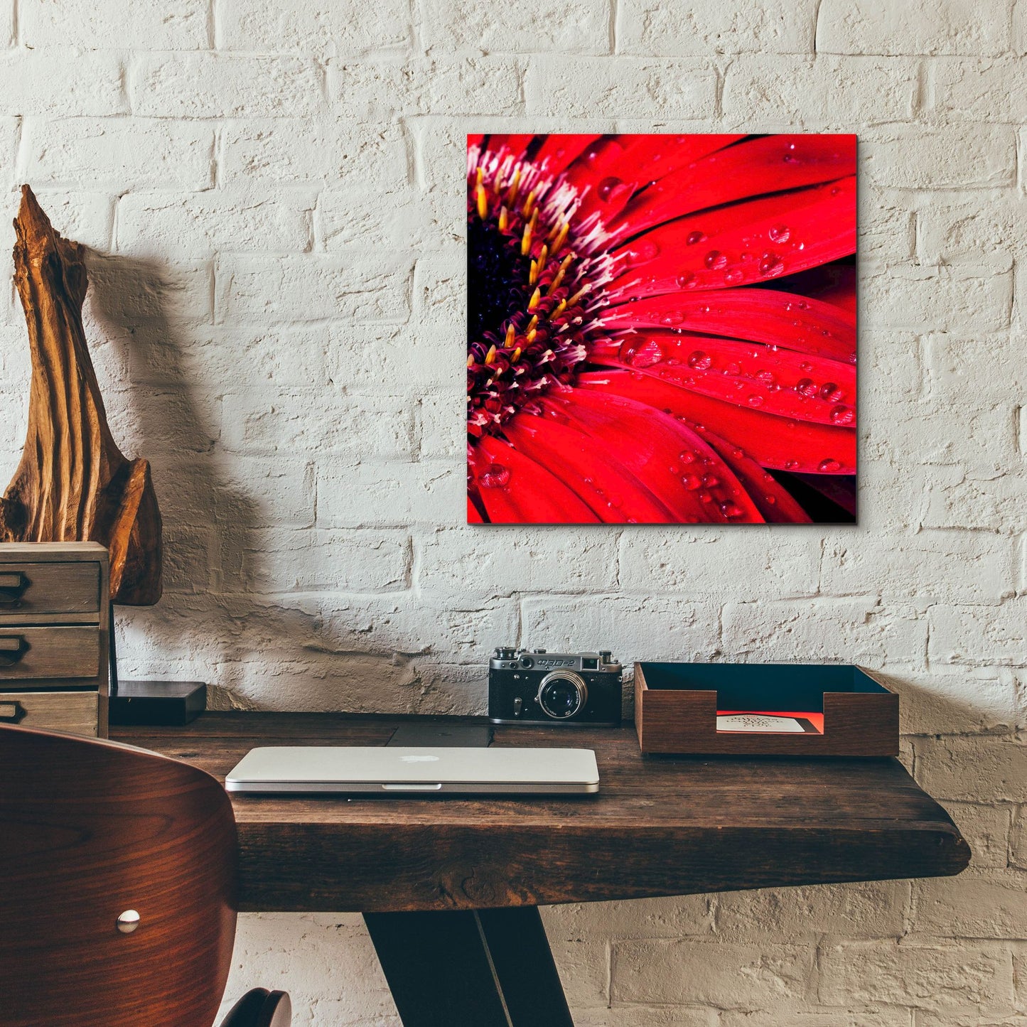 Epic Art 'Red Gerbera with Waterdrops 02' by Tom Quartermaine, Acrylic Glass Wall Art,12x12