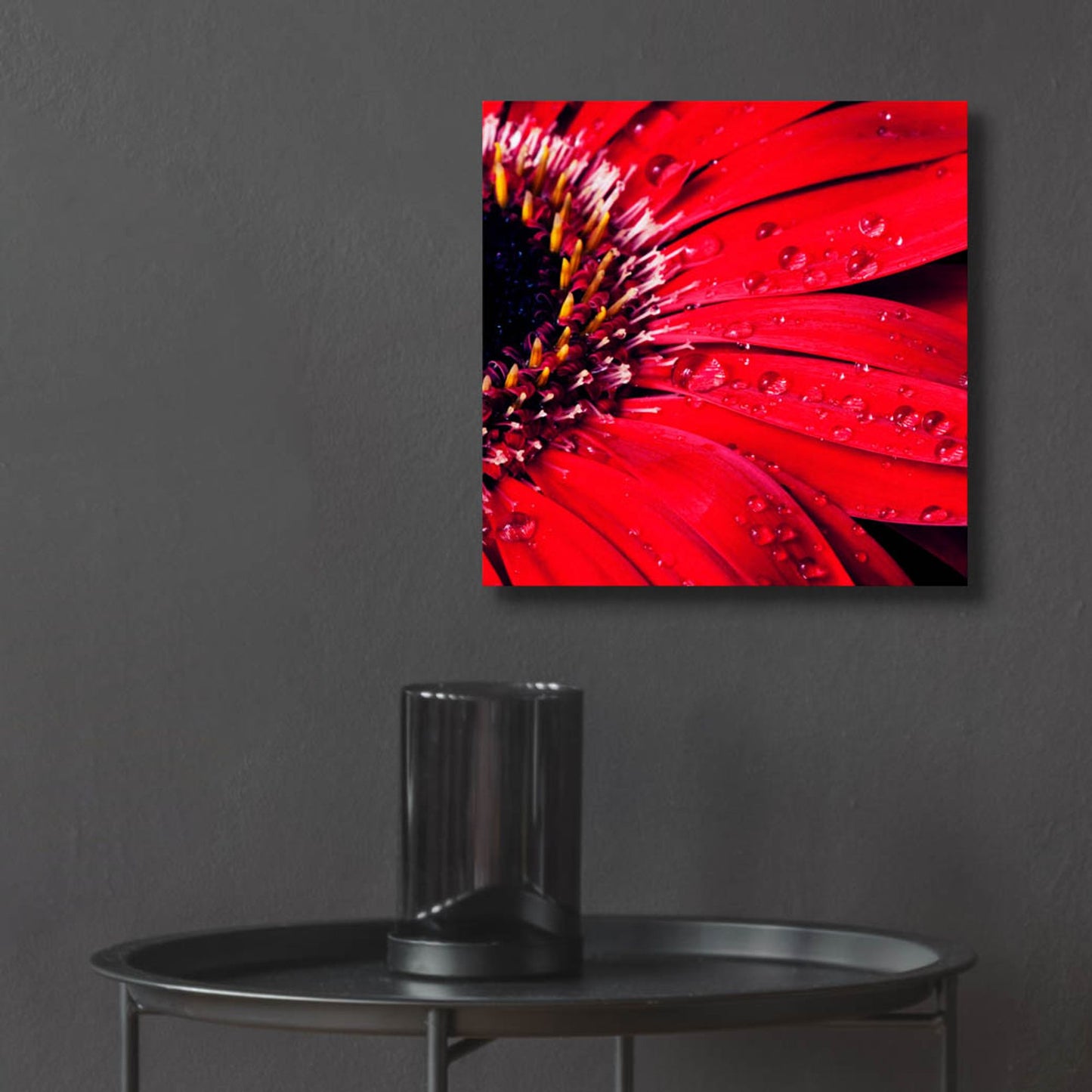 Epic Art 'Red Gerbera with Waterdrops 02' by Tom Quartermaine, Acrylic Glass Wall Art,12x12