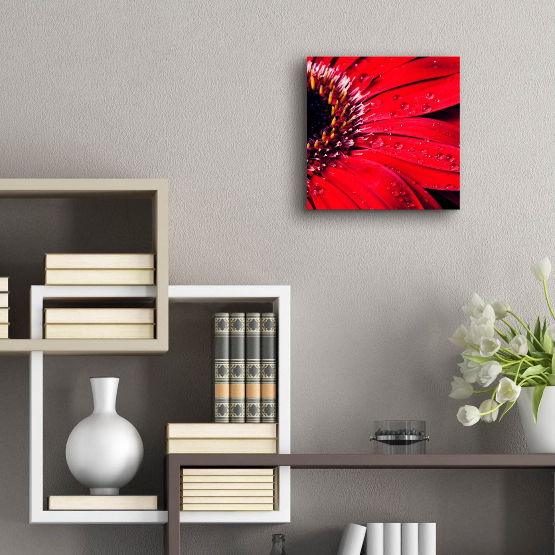 Epic Art 'Red Gerbera with Waterdrops 02' by Tom Quartermaine, Acrylic Glass Wall Art,12x12