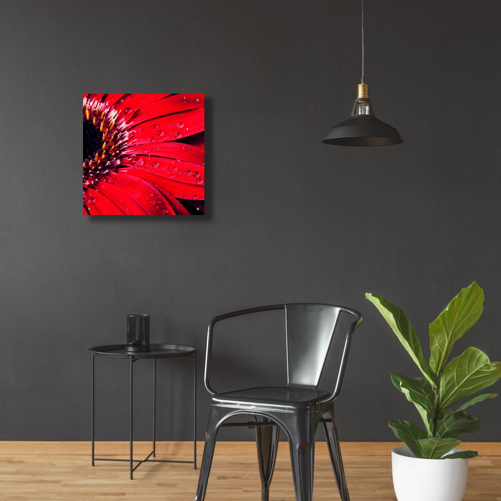 Epic Art 'Red Gerbera with Waterdrops 02' by Tom Quartermaine, Acrylic Glass Wall Art,24x24