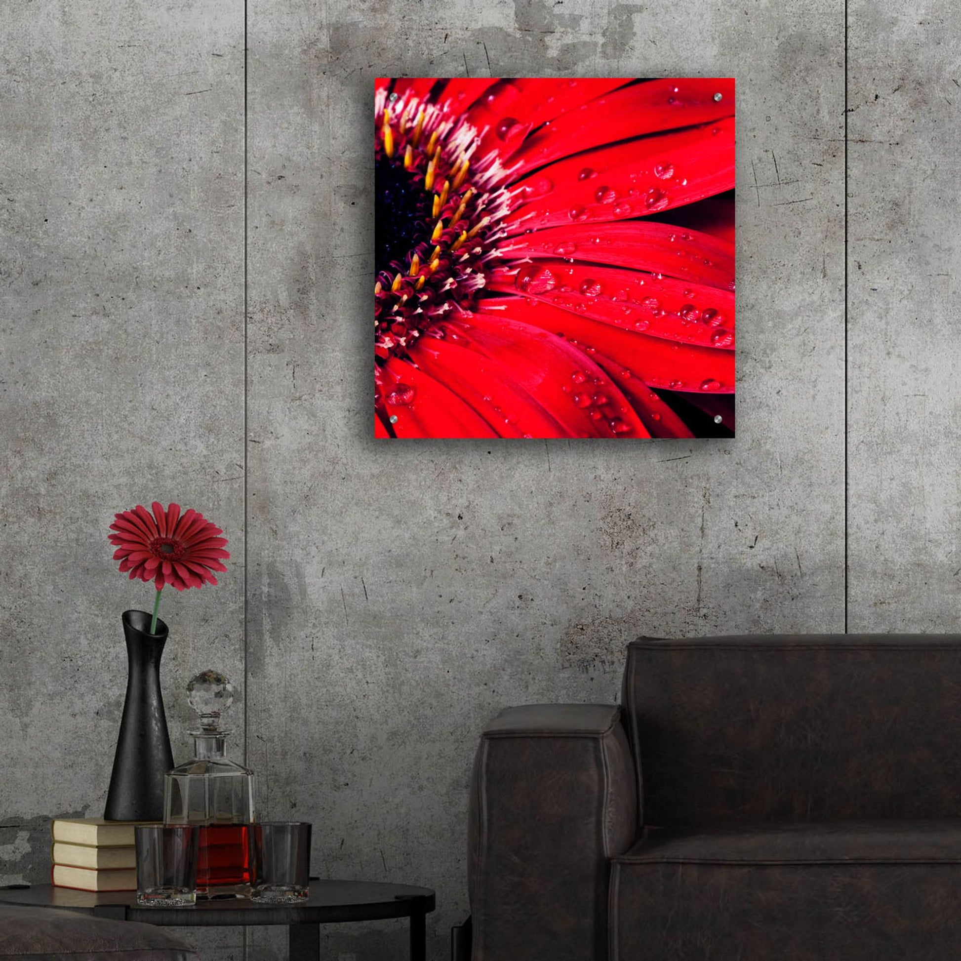 Epic Art 'Red Gerbera with Waterdrops 02' by Tom Quartermaine, Acrylic Glass Wall Art,24x24