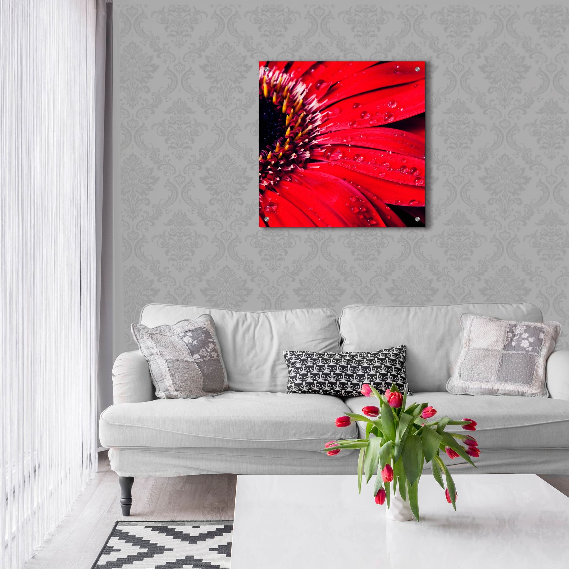 Epic Art 'Red Gerbera with Waterdrops 02' by Tom Quartermaine, Acrylic Glass Wall Art,24x24