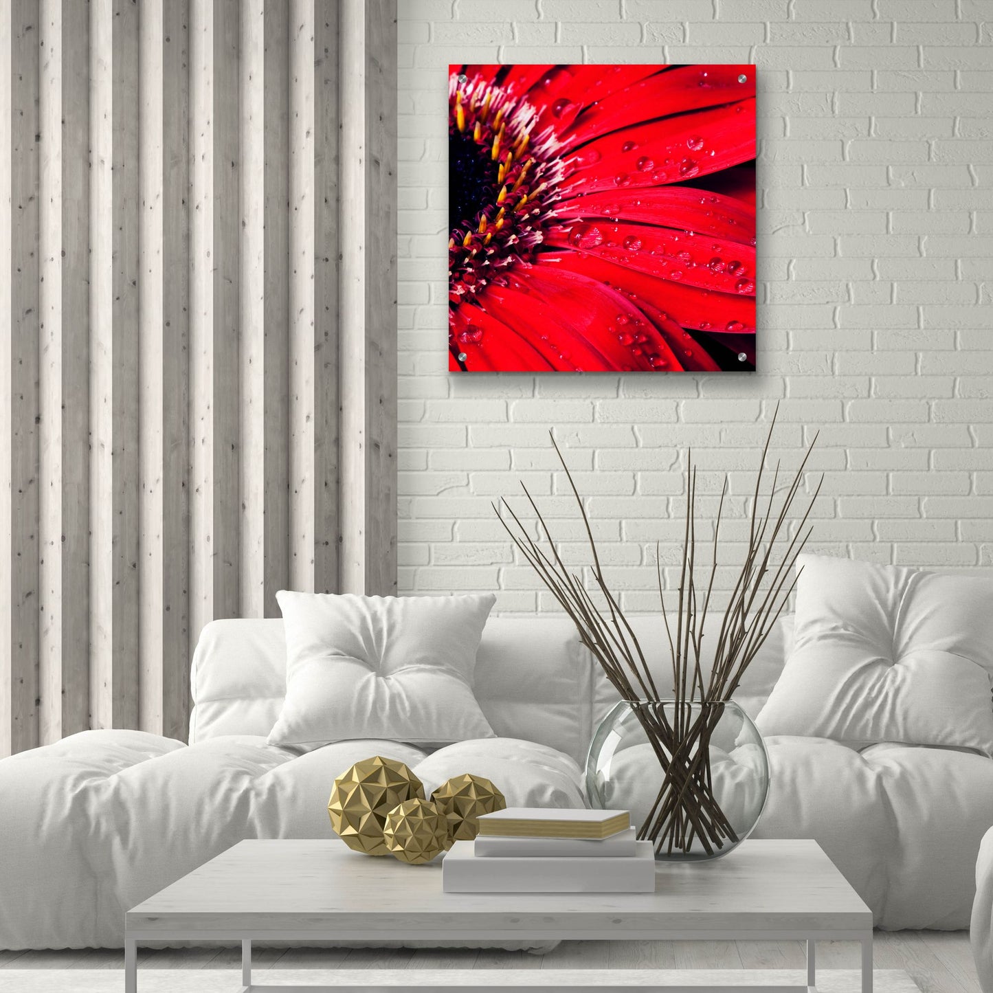 Epic Art 'Red Gerbera with Waterdrops 02' by Tom Quartermaine, Acrylic Glass Wall Art,24x24