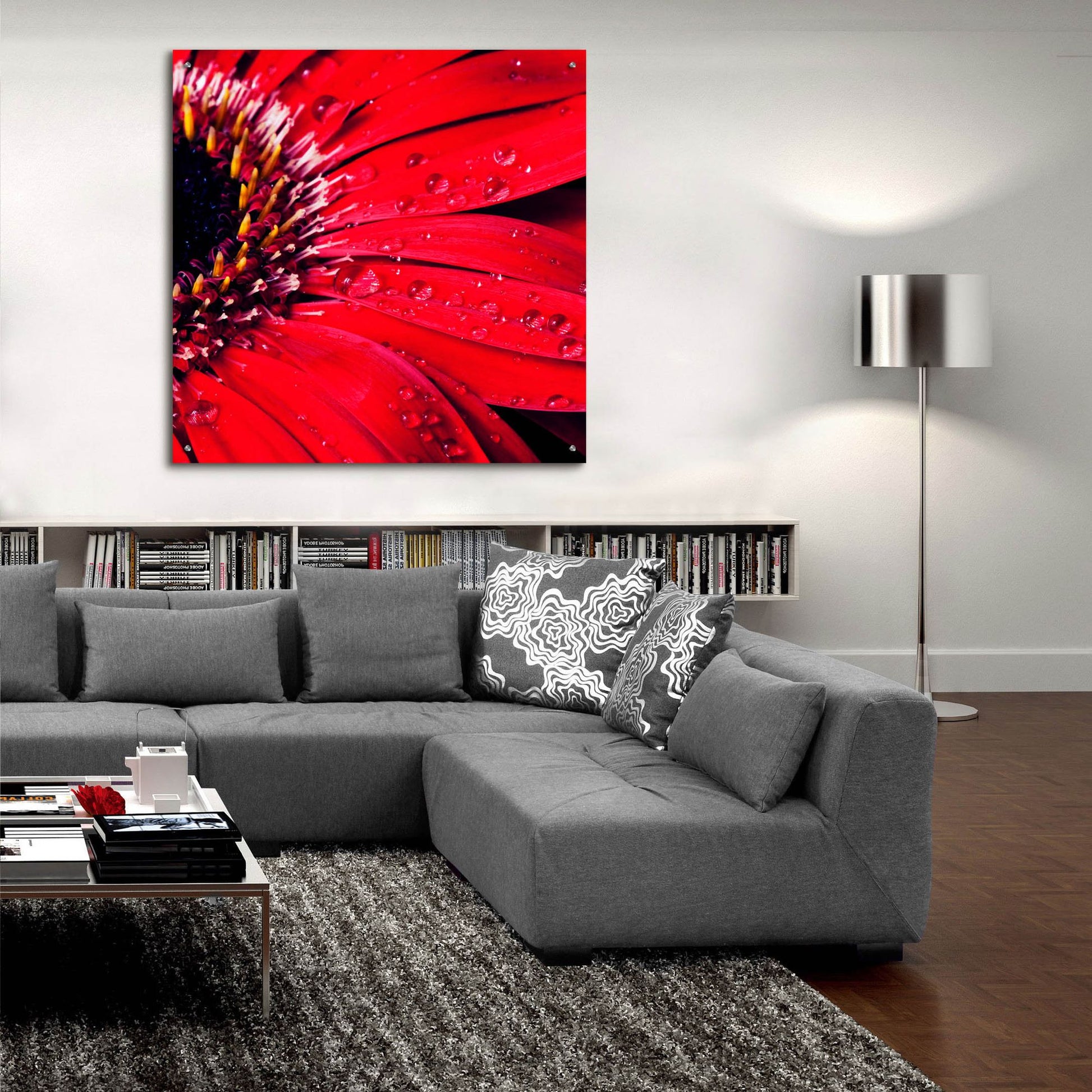 Epic Art 'Red Gerbera with Waterdrops 02' by Tom Quartermaine, Acrylic Glass Wall Art,36x36