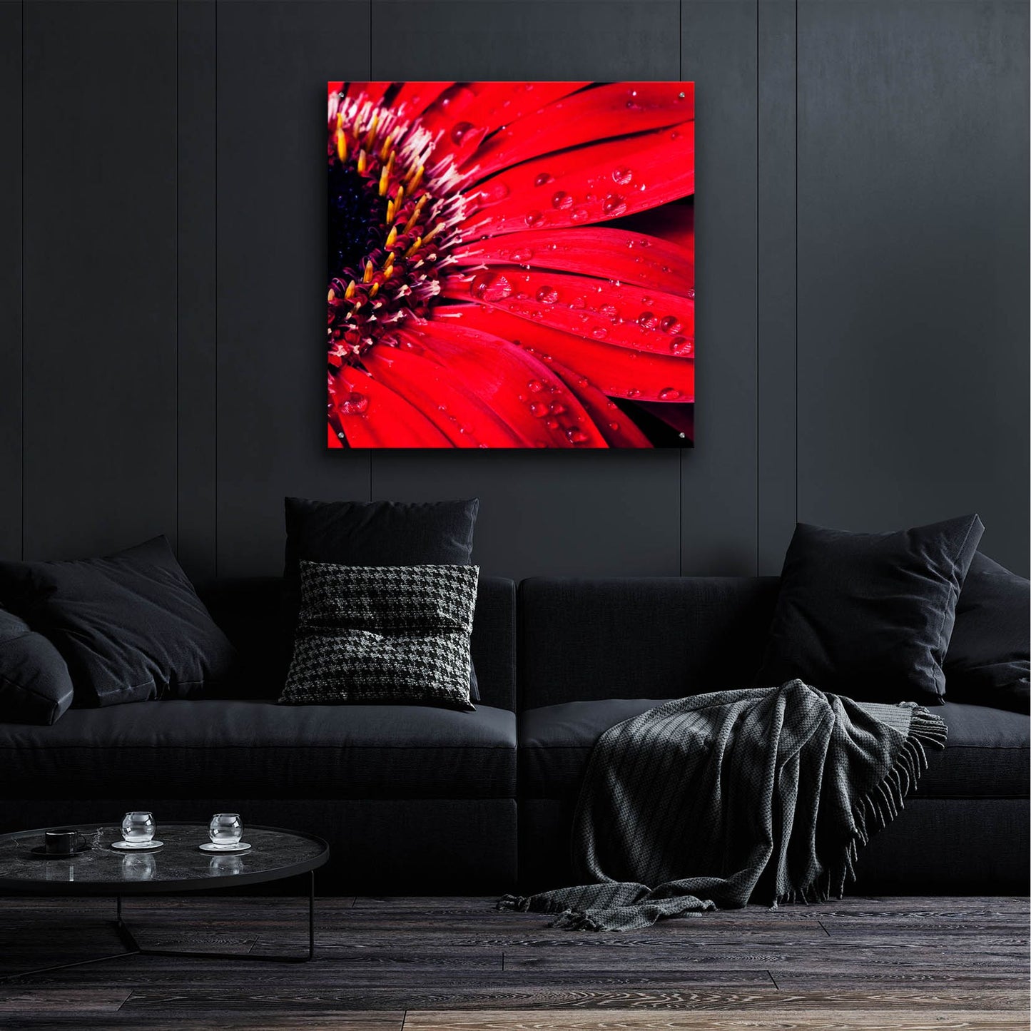 Epic Art 'Red Gerbera with Waterdrops 02' by Tom Quartermaine, Acrylic Glass Wall Art,36x36