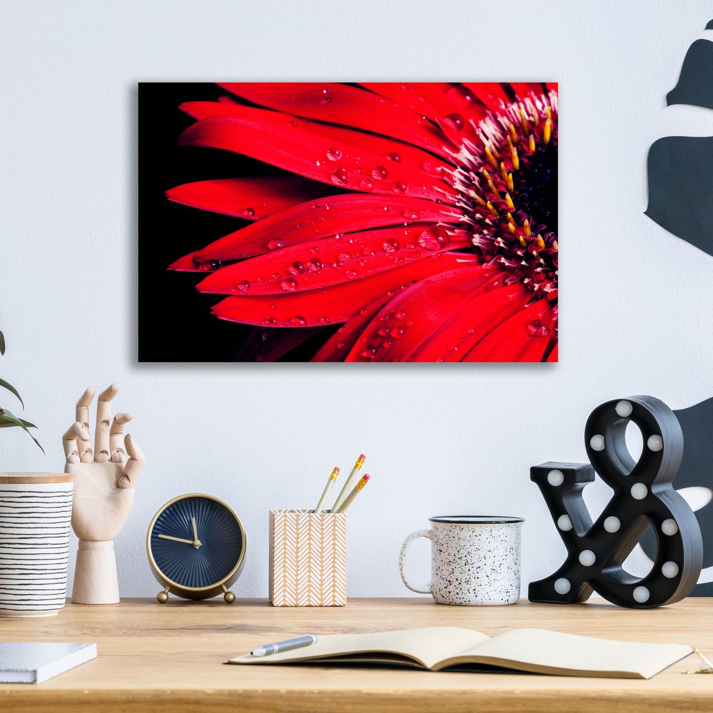 Epic Art 'Red Gerbera with Waterdrops 03' by Tom Quartermaine, Acrylic Glass Wall Art,16x12