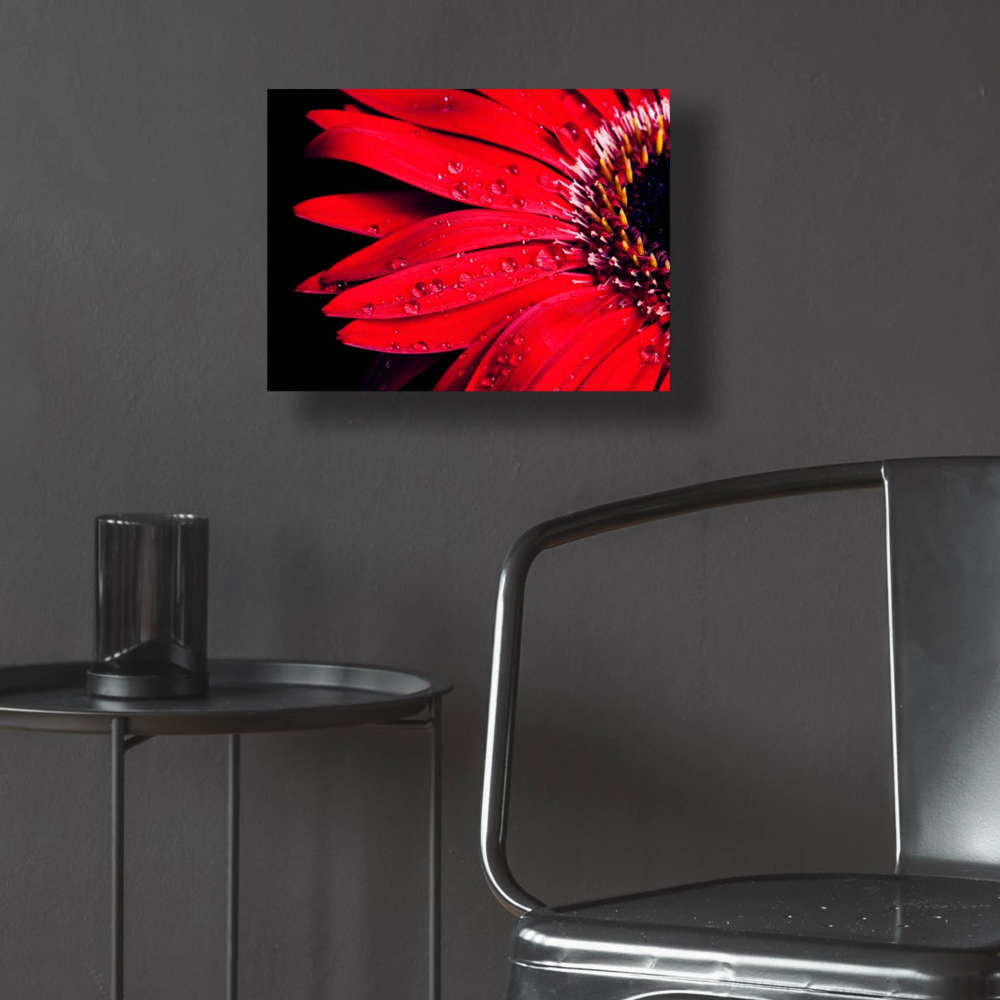 Epic Art 'Red Gerbera with Waterdrops 03' by Tom Quartermaine, Acrylic Glass Wall Art,16x12