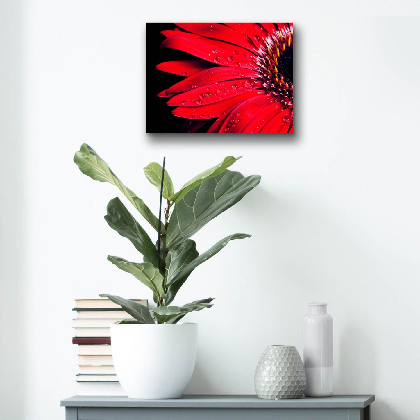 Epic Art 'Red Gerbera with Waterdrops 03' by Tom Quartermaine, Acrylic Glass Wall Art,16x12