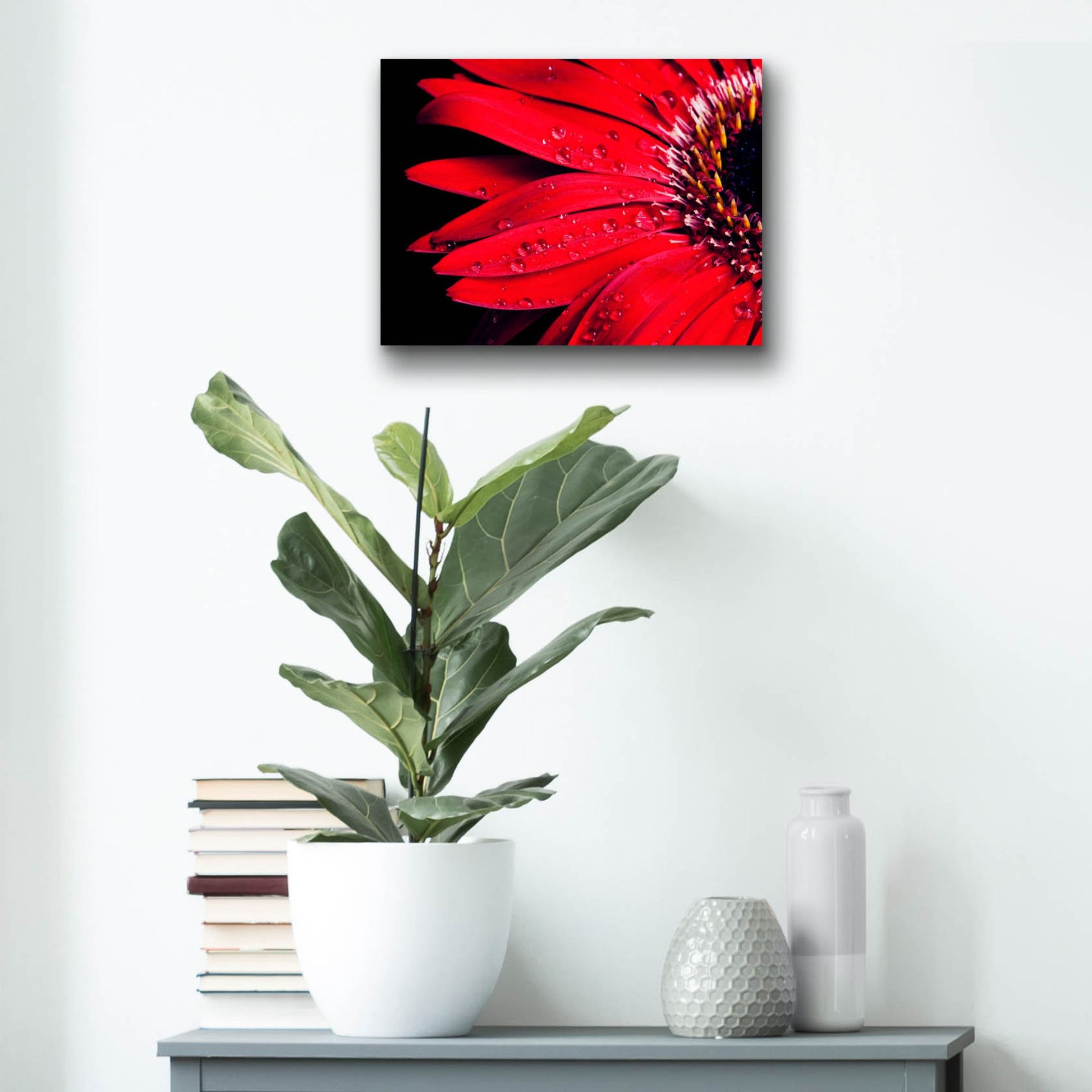 Epic Art 'Red Gerbera with Waterdrops 03' by Tom Quartermaine, Acrylic Glass Wall Art,16x12