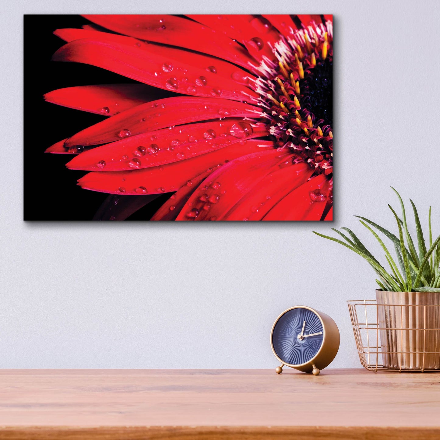 Epic Art 'Red Gerbera with Waterdrops 03' by Tom Quartermaine, Acrylic Glass Wall Art,16x12