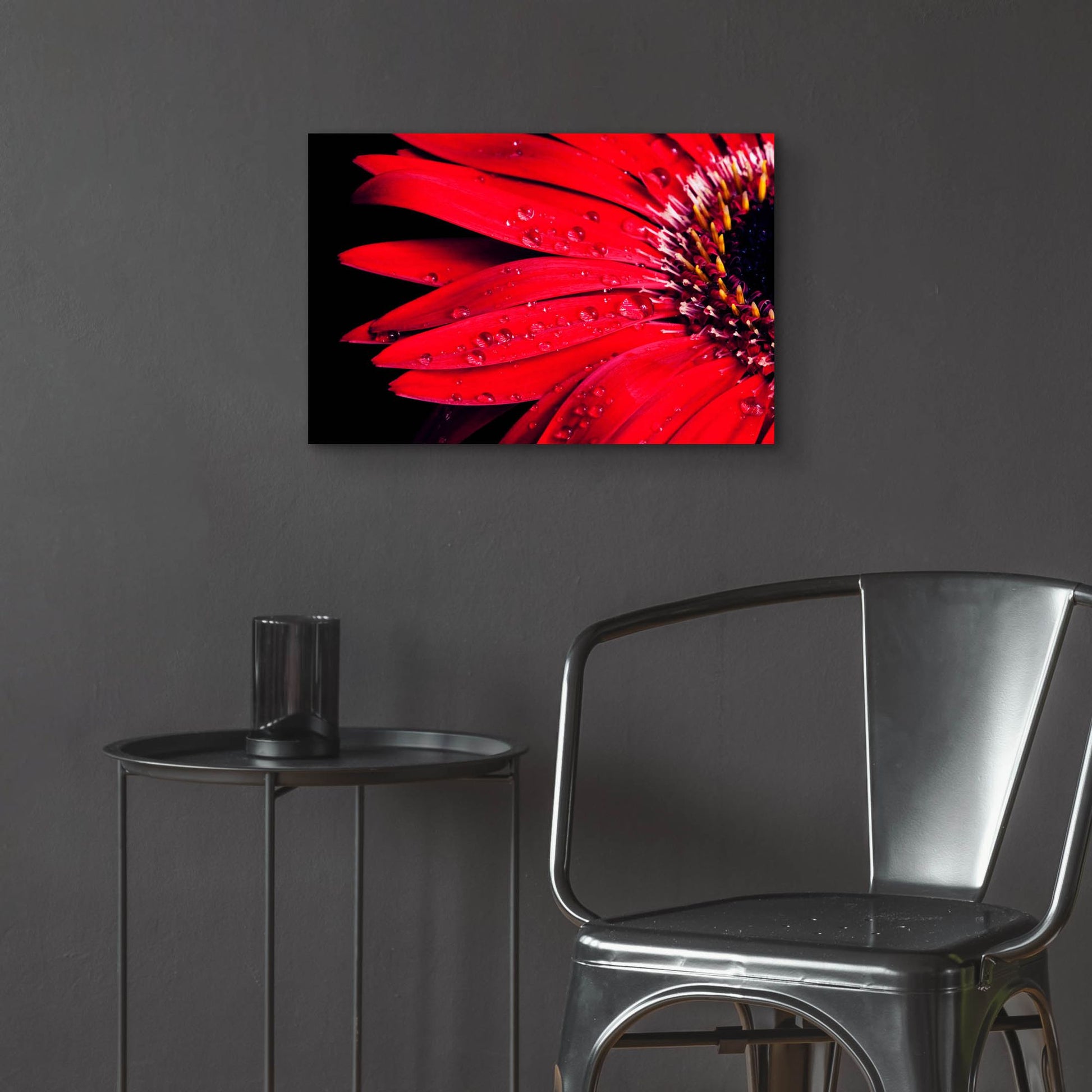 Epic Art 'Red Gerbera with Waterdrops 03' by Tom Quartermaine, Acrylic Glass Wall Art,24x16