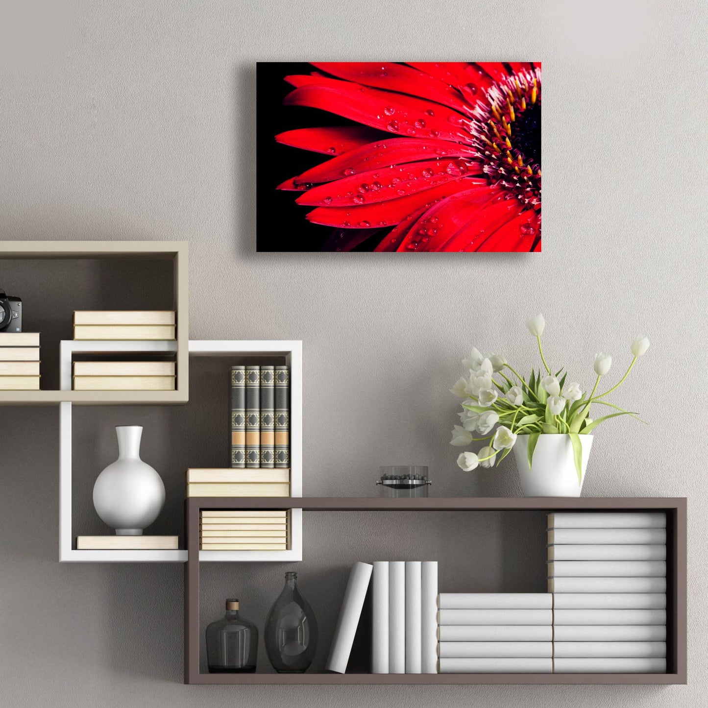 Epic Art 'Red Gerbera with Waterdrops 03' by Tom Quartermaine, Acrylic Glass Wall Art,24x16