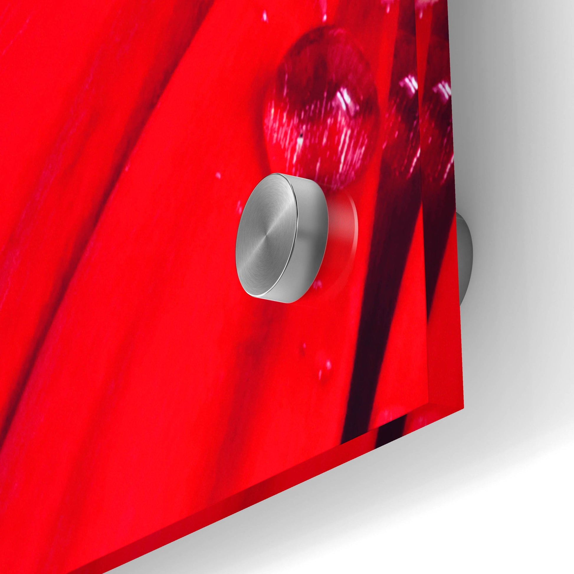 Epic Art 'Red Gerbera with Waterdrops 03' by Tom Quartermaine, Acrylic Glass Wall Art,36x24