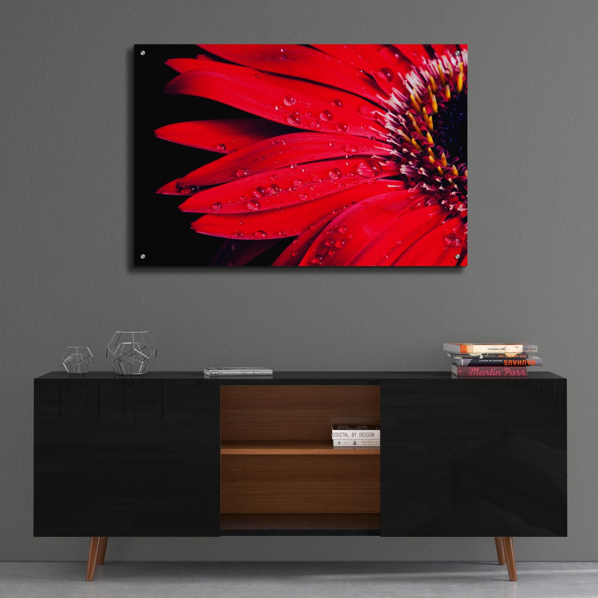 Epic Art 'Red Gerbera with Waterdrops 03' by Tom Quartermaine, Acrylic Glass Wall Art,36x24