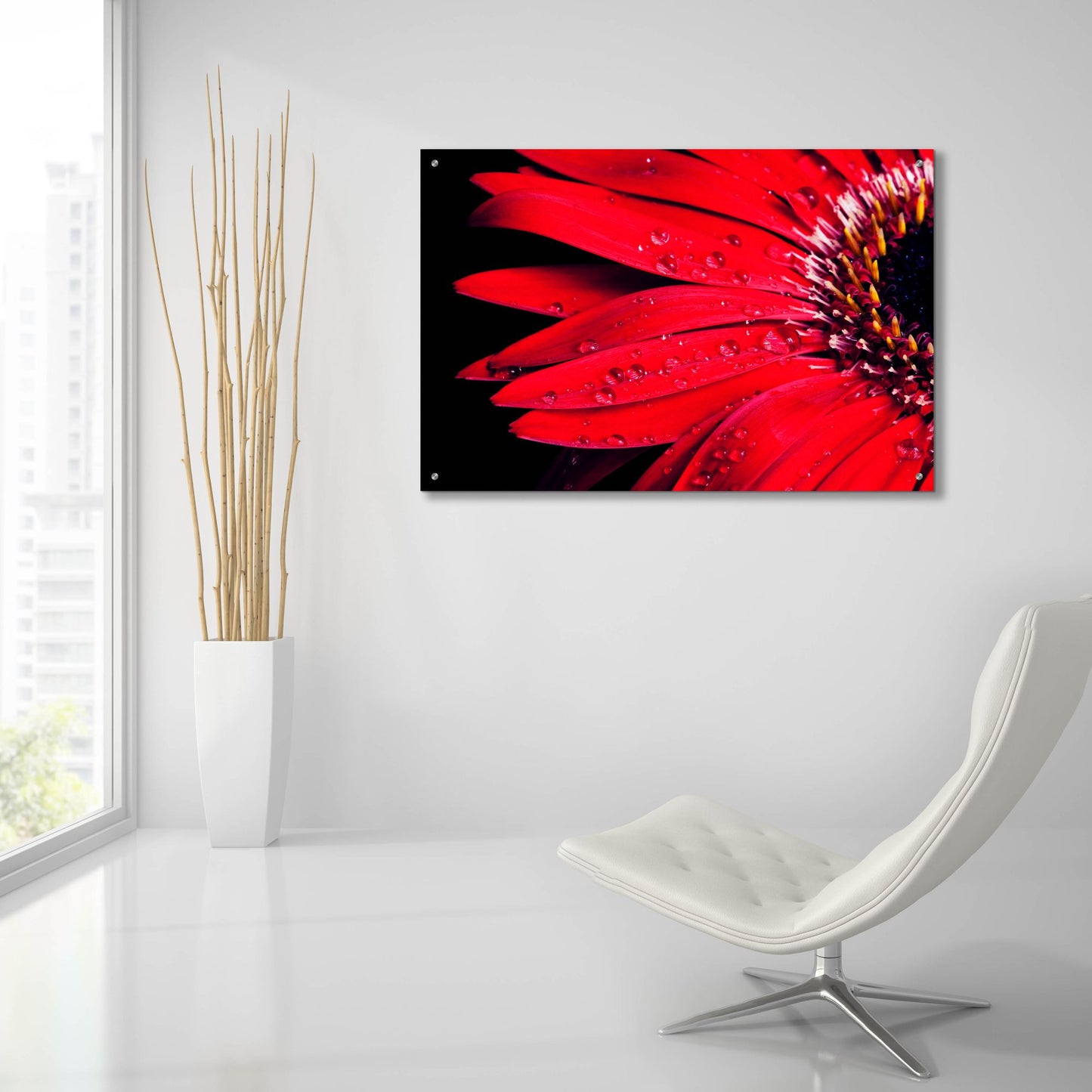 Epic Art 'Red Gerbera with Waterdrops 03' by Tom Quartermaine, Acrylic Glass Wall Art,36x24