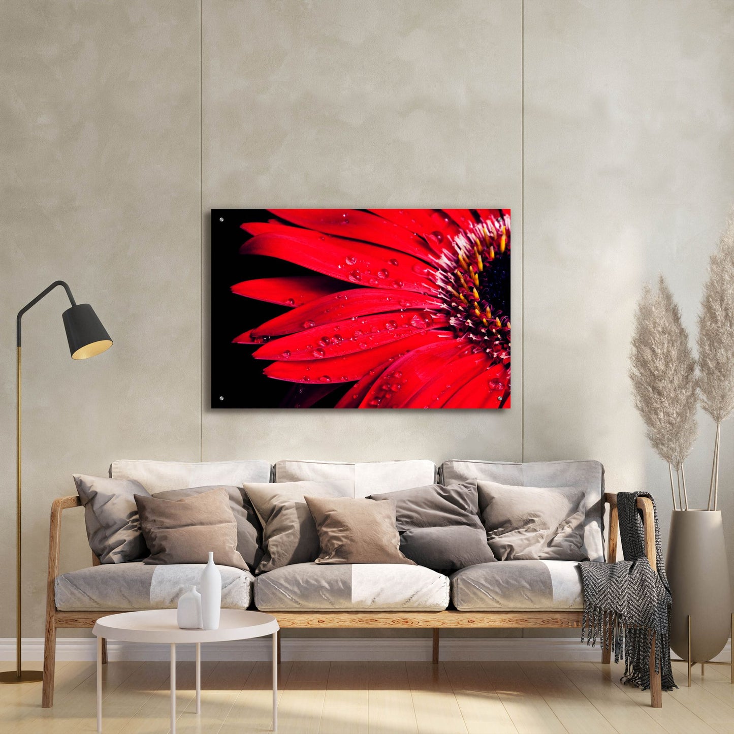 Epic Art 'Red Gerbera with Waterdrops 03' by Tom Quartermaine, Acrylic Glass Wall Art,36x24