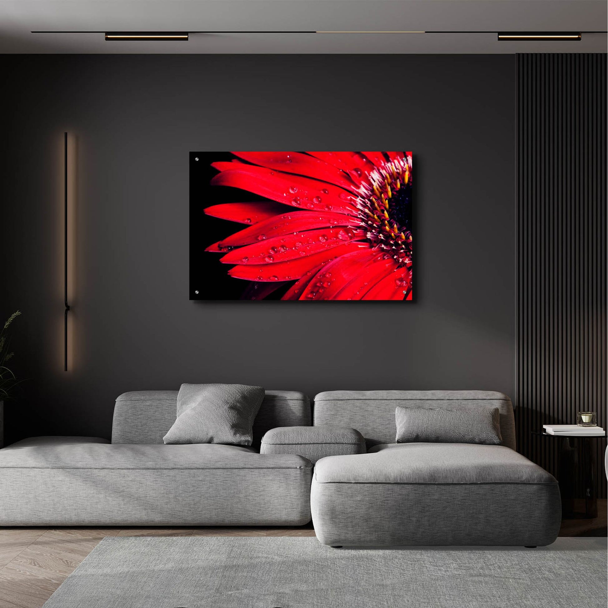 Epic Art 'Red Gerbera with Waterdrops 03' by Tom Quartermaine, Acrylic Glass Wall Art,36x24