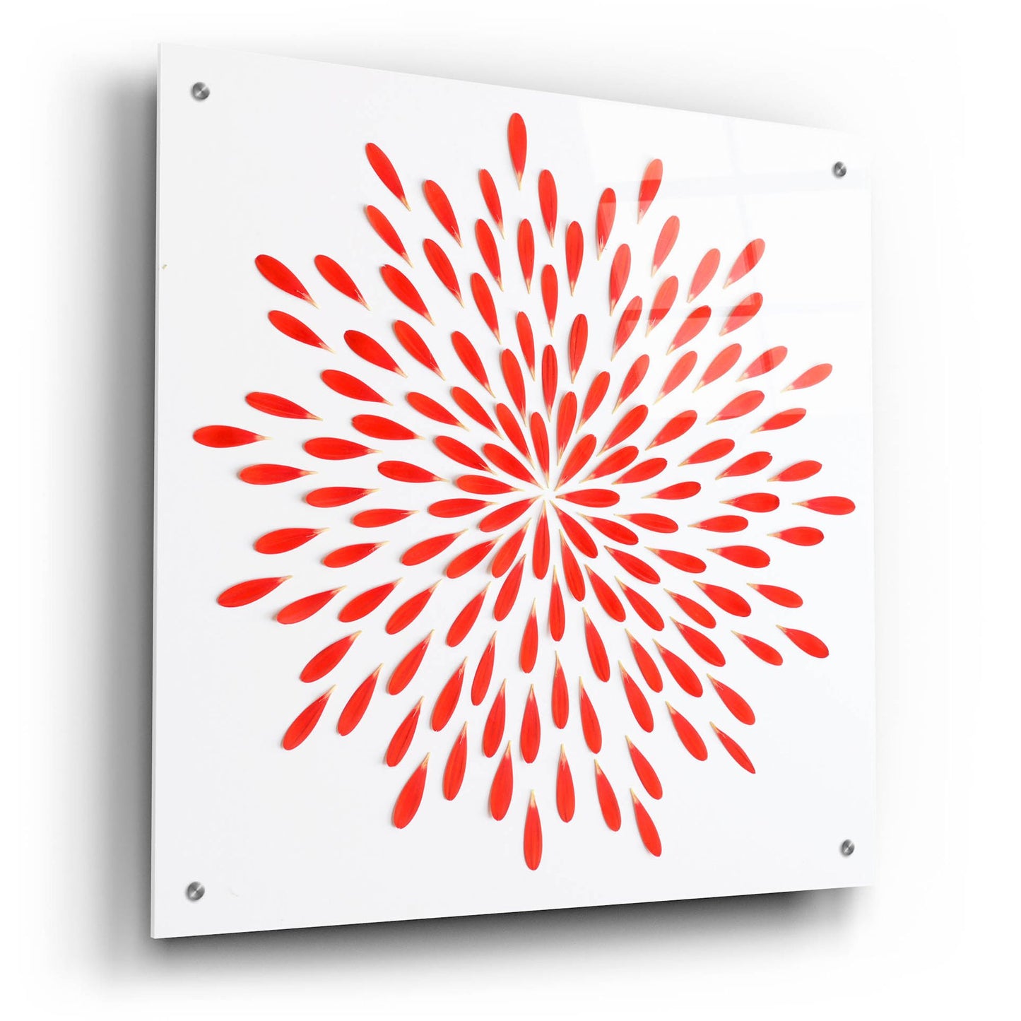 Epic Art 'Red Petals 01' by Tom Quartermaine, Acrylic Glass Wall Art,24x24