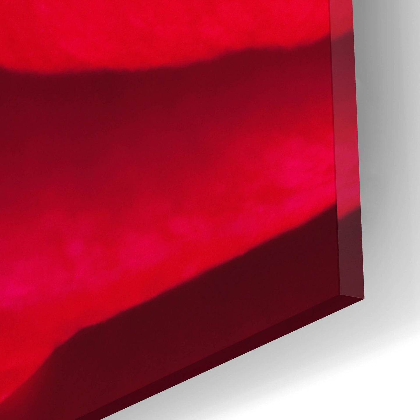 Epic Art 'Red Petals Close Up' by Tom Quartermaine, Acrylic Glass Wall Art,12x12