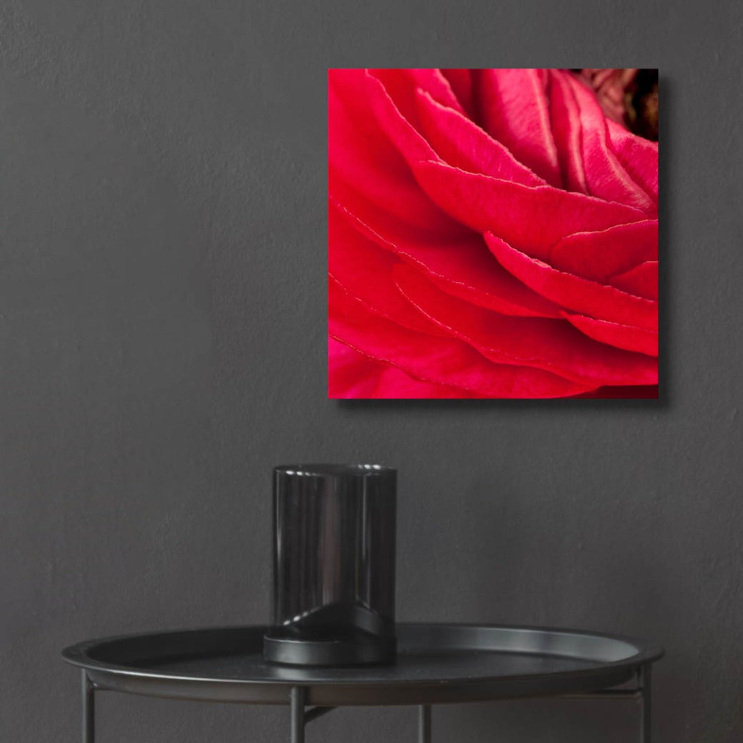 Epic Art 'Red Petals Close Up' by Tom Quartermaine, Acrylic Glass Wall Art,12x12