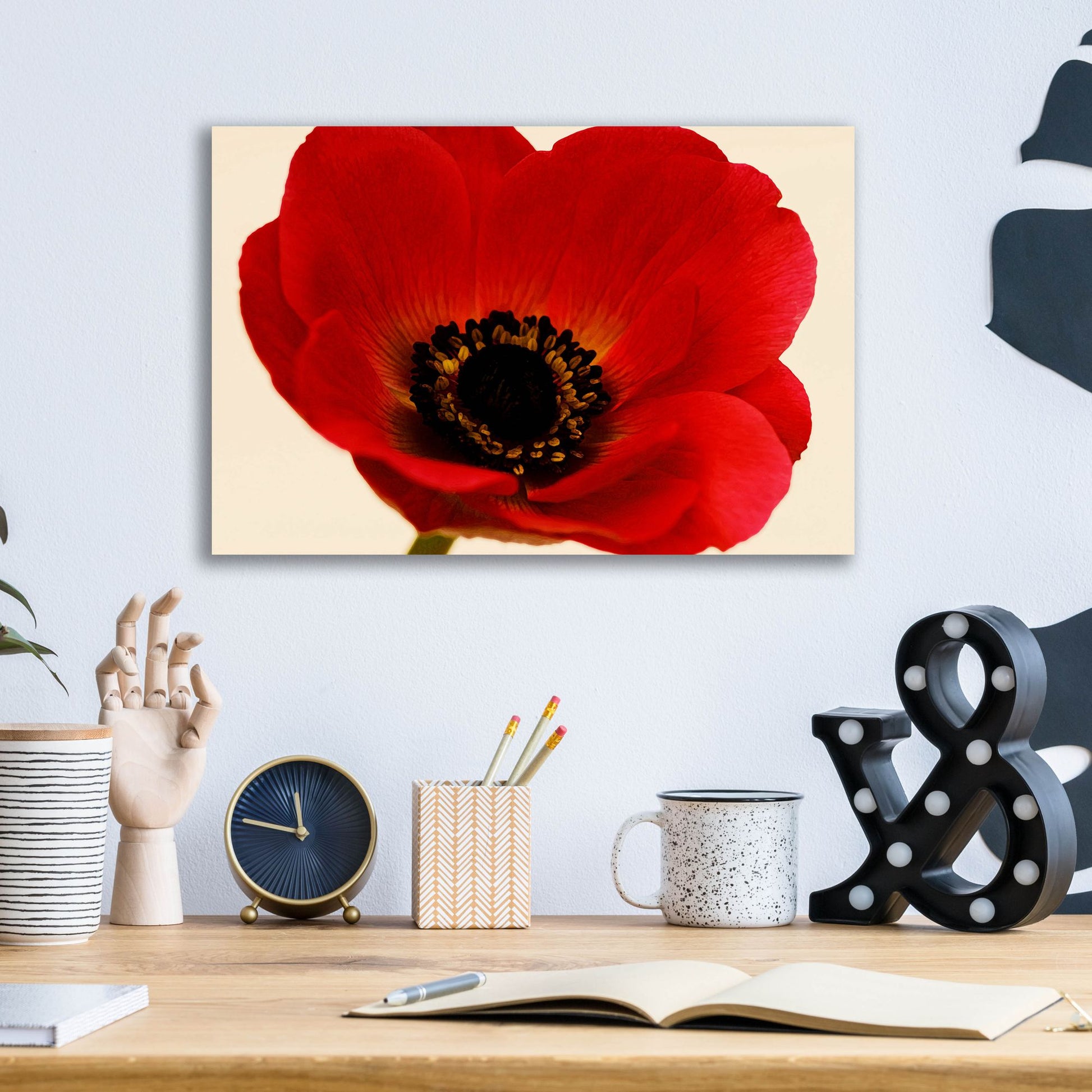 Epic Art 'Red Poppy 01' by Tom Quartermaine, Acrylic Glass Wall Art,16x12