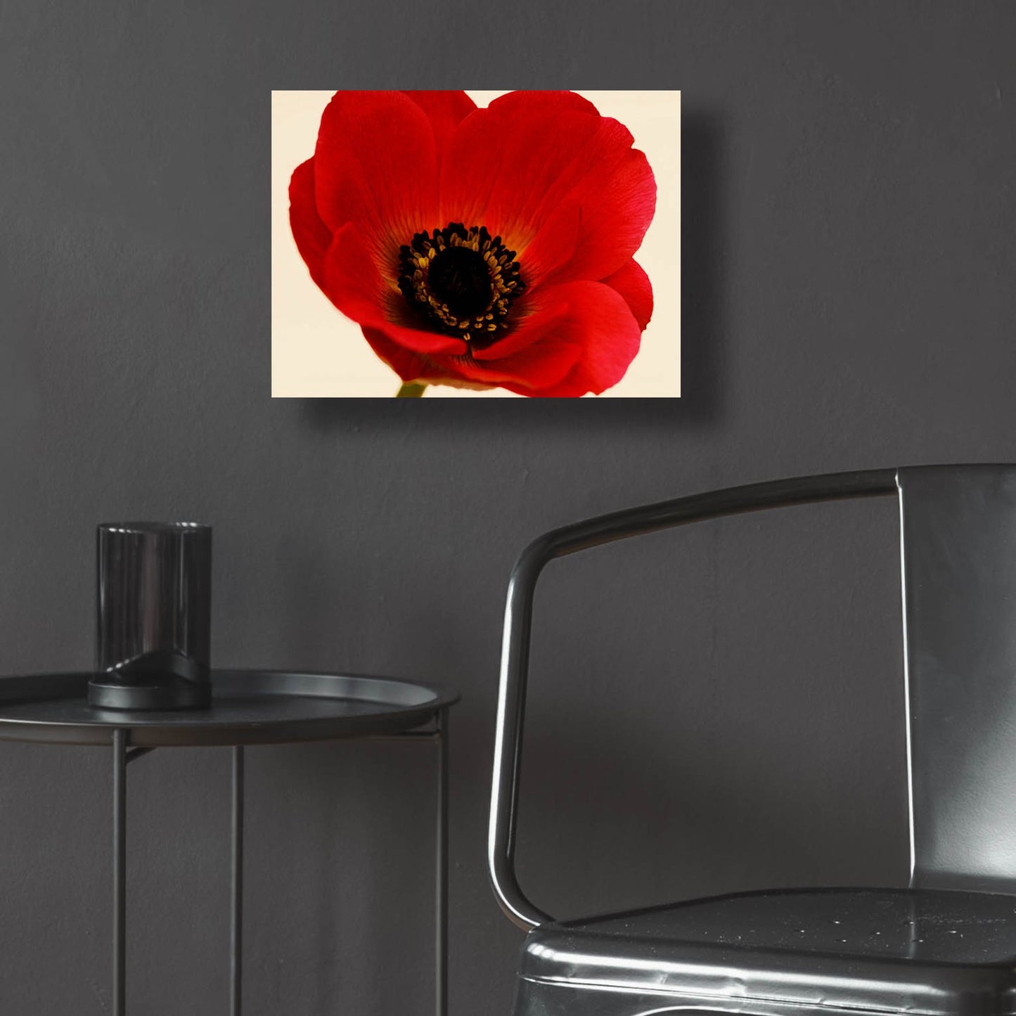 Epic Art 'Red Poppy 01' by Tom Quartermaine, Acrylic Glass Wall Art,16x12