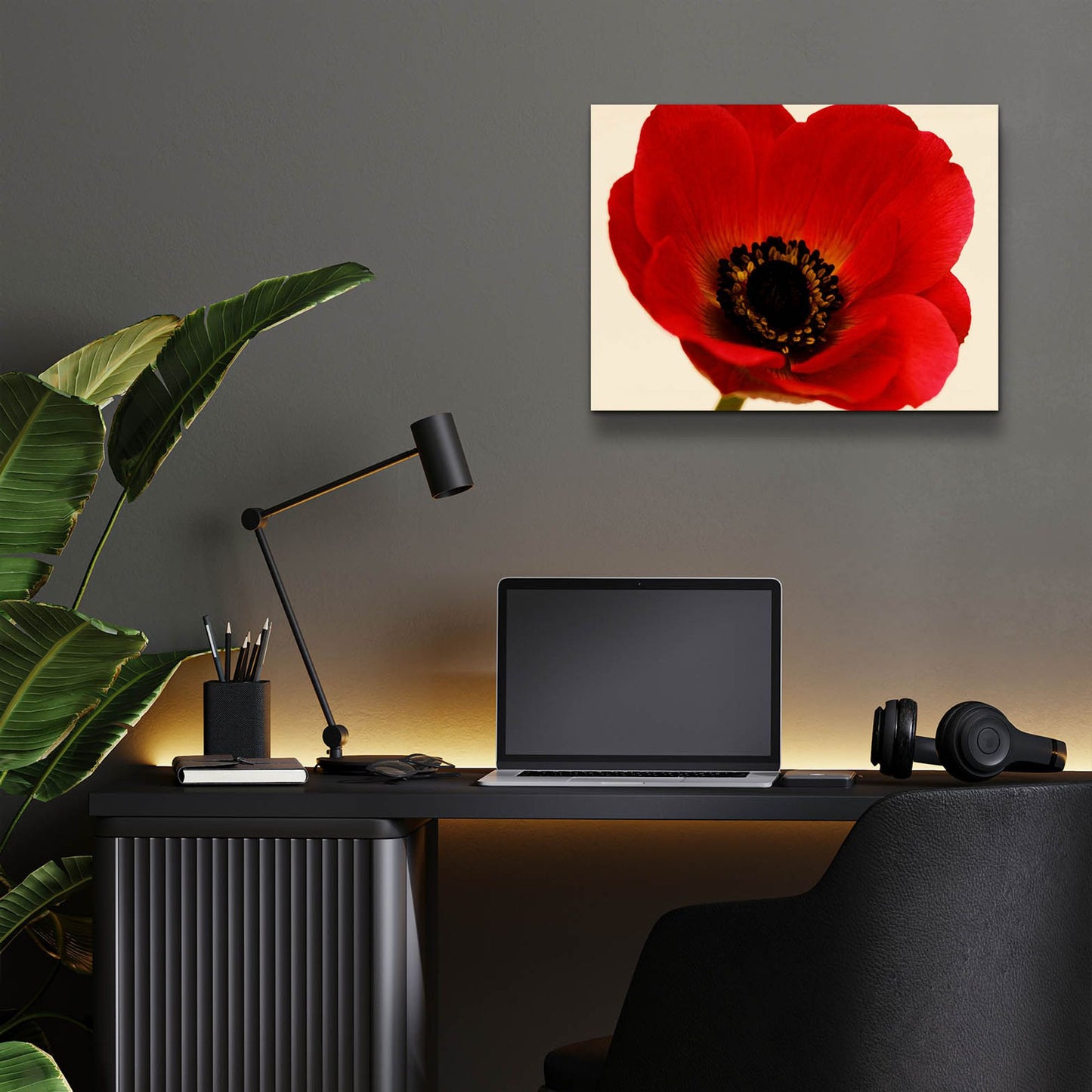 Epic Art 'Red Poppy 01' by Tom Quartermaine, Acrylic Glass Wall Art,16x12