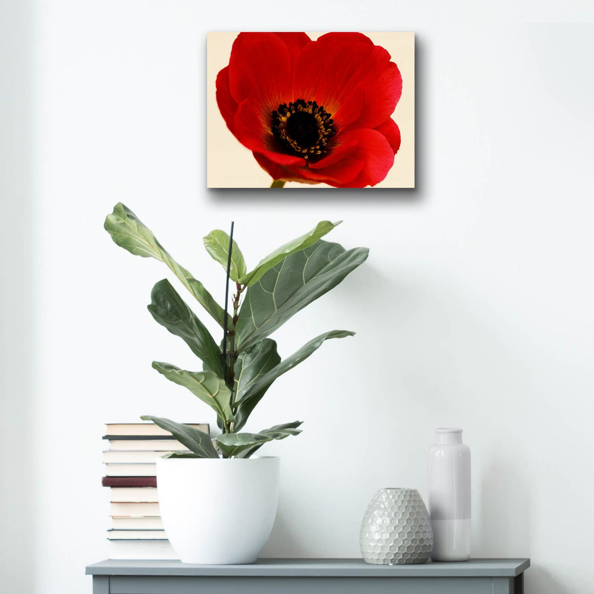 Epic Art 'Red Poppy 01' by Tom Quartermaine, Acrylic Glass Wall Art,16x12