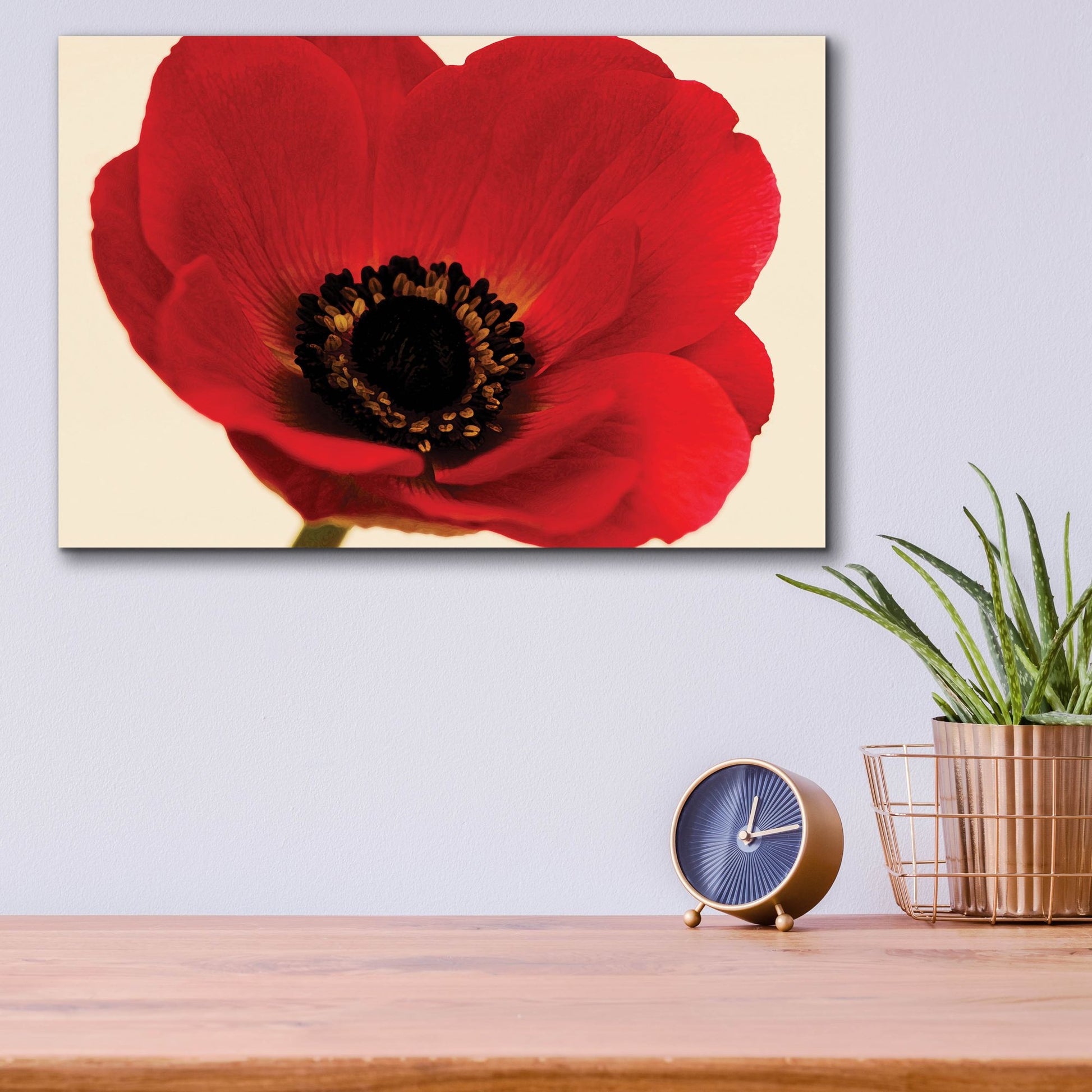 Epic Art 'Red Poppy 01' by Tom Quartermaine, Acrylic Glass Wall Art,16x12