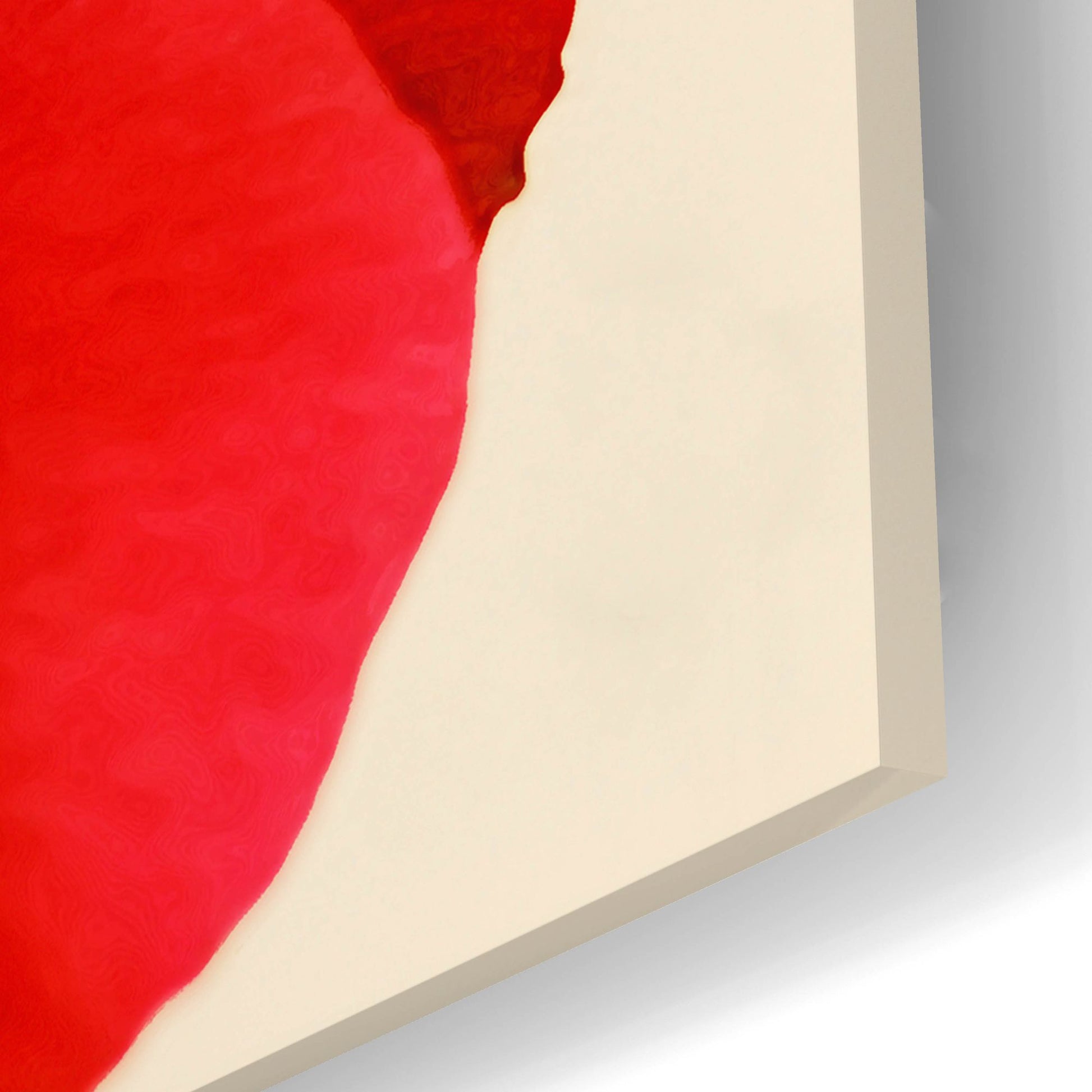 Epic Art 'Red Poppy 01' by Tom Quartermaine, Acrylic Glass Wall Art,24x16