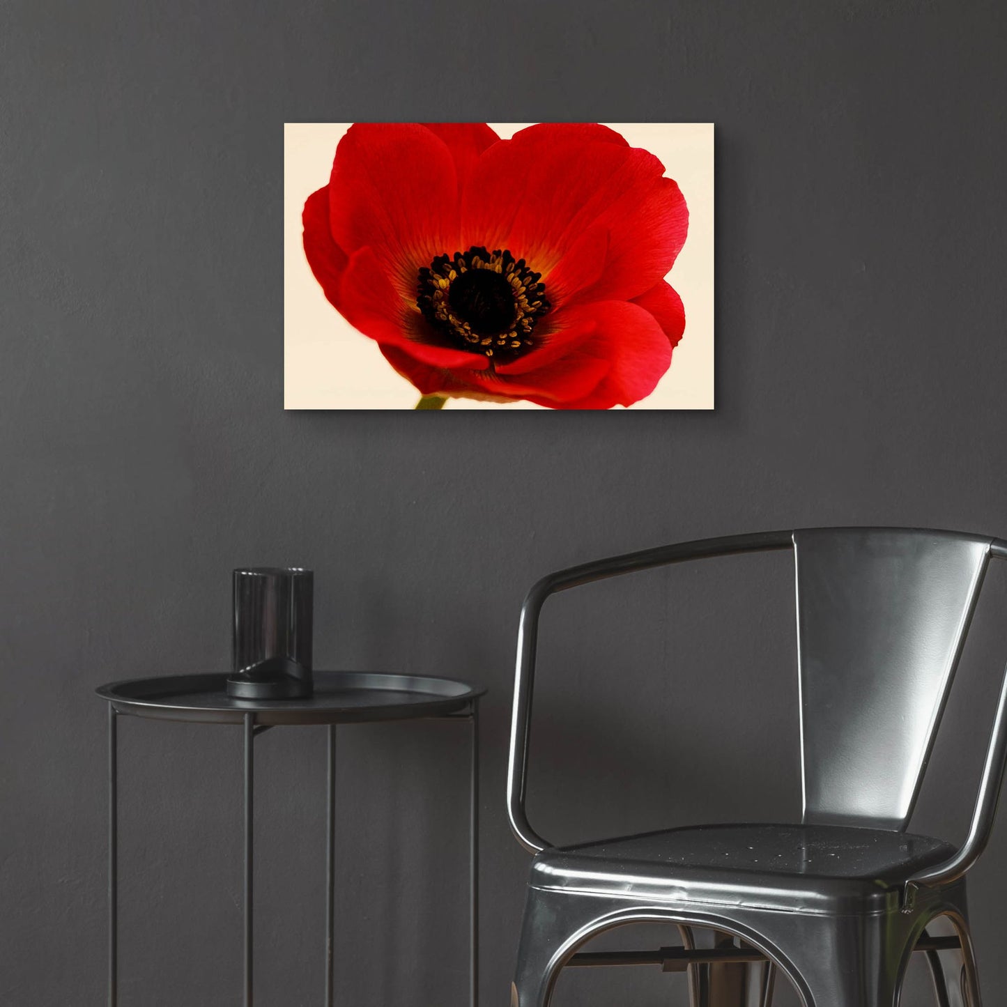 Epic Art 'Red Poppy 01' by Tom Quartermaine, Acrylic Glass Wall Art,24x16