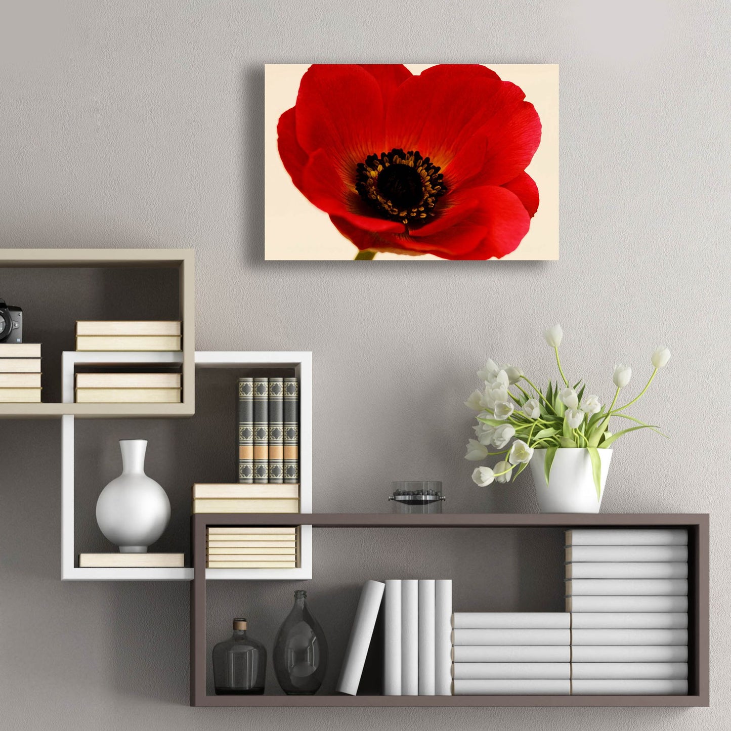 Epic Art 'Red Poppy 01' by Tom Quartermaine, Acrylic Glass Wall Art,24x16