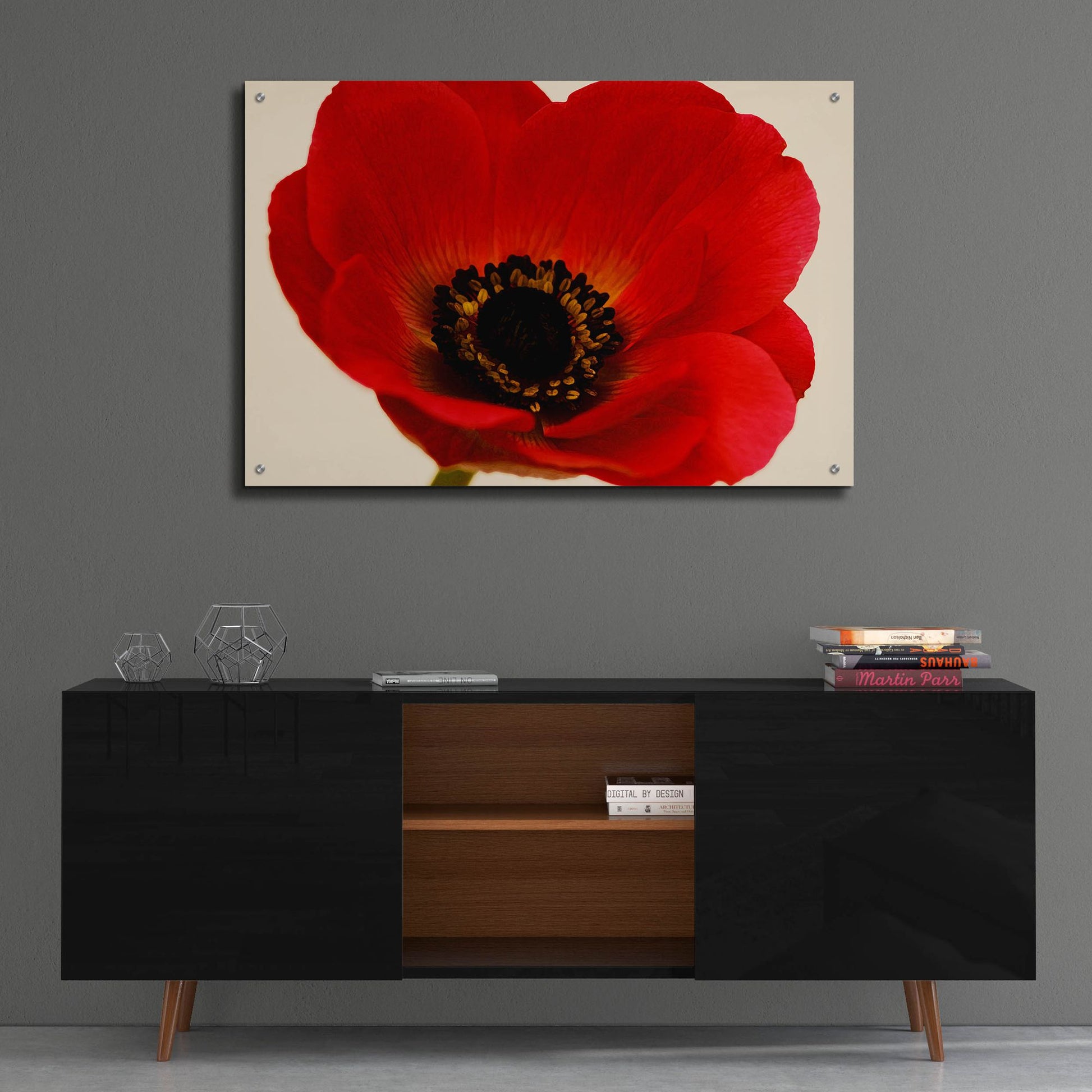 Epic Art 'Red Poppy 01' by Tom Quartermaine, Acrylic Glass Wall Art,36x24