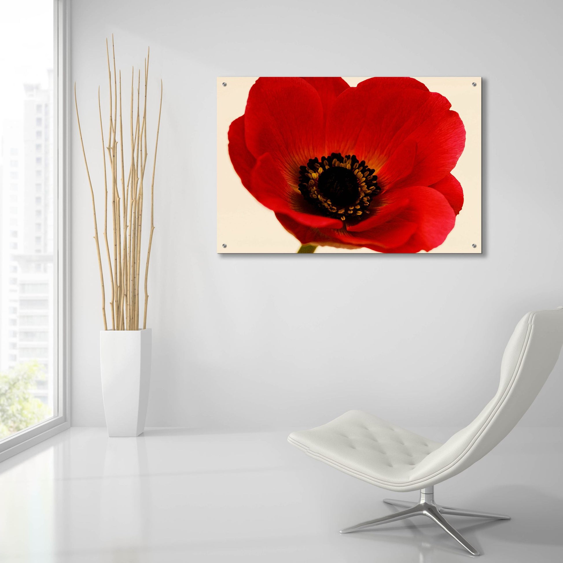 Epic Art 'Red Poppy 01' by Tom Quartermaine, Acrylic Glass Wall Art,36x24