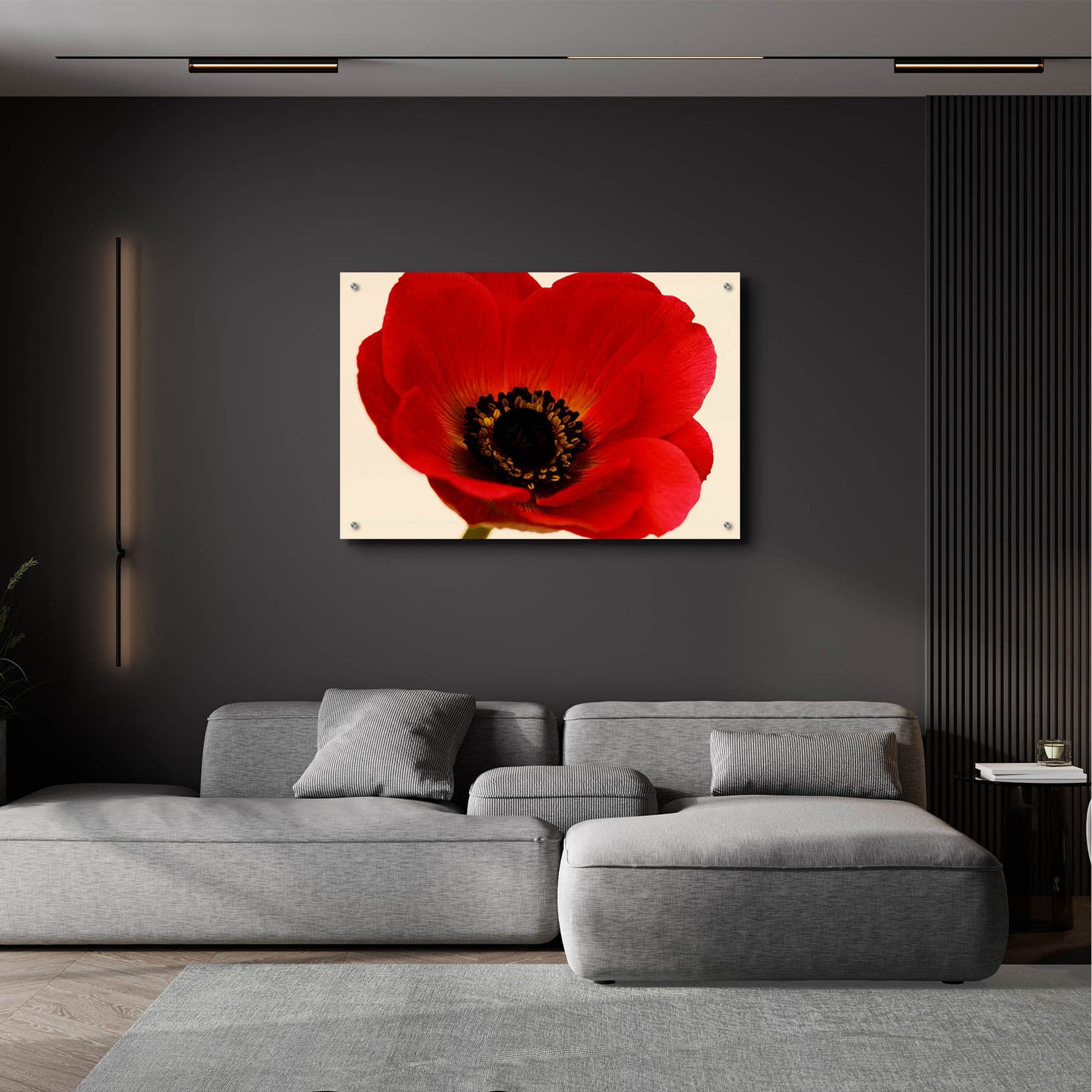 Epic Art 'Red Poppy 01' by Tom Quartermaine, Acrylic Glass Wall Art,36x24