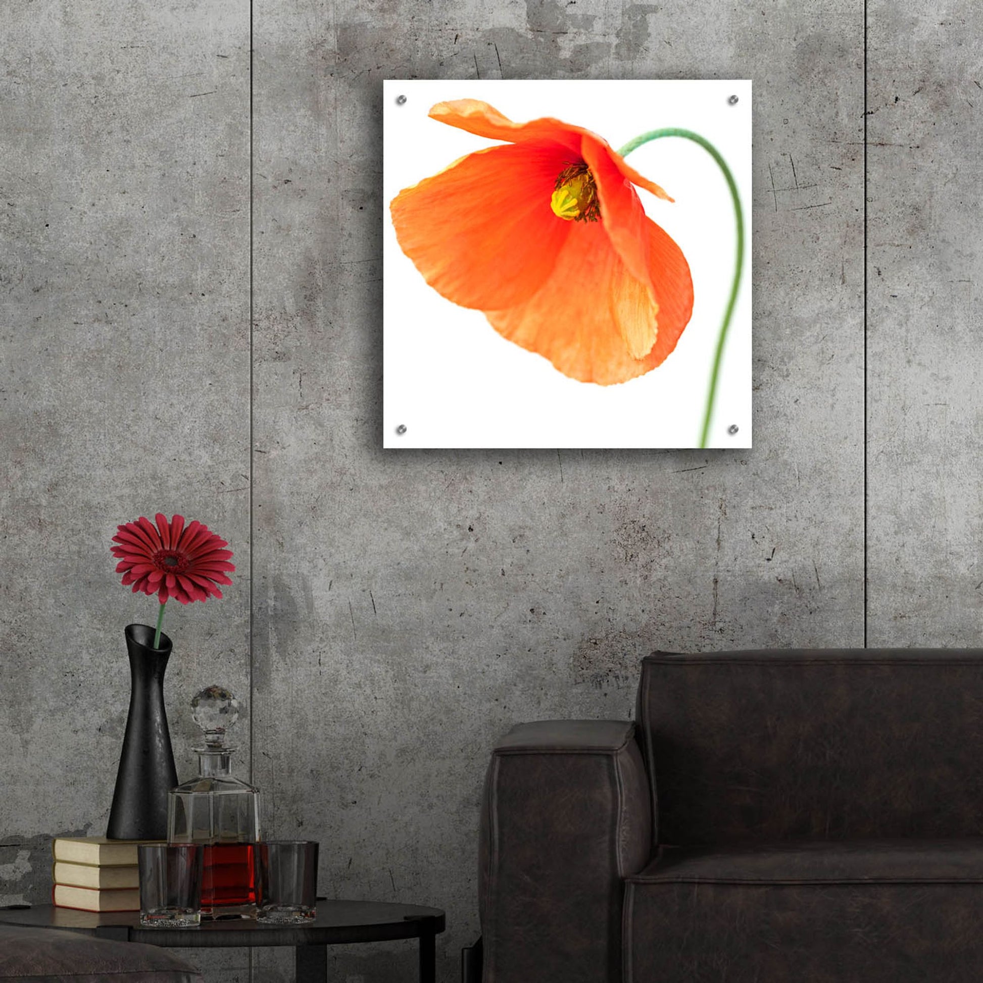 Epic Art 'Red Poppy On White 01' by Tom Quartermaine, Acrylic Glass Wall Art,24x24