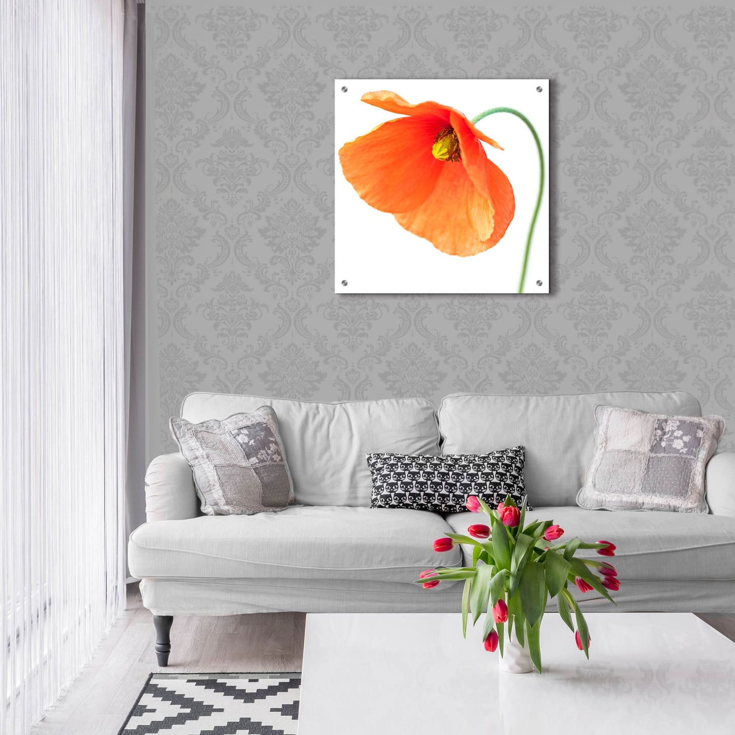 Epic Art 'Red Poppy On White 01' by Tom Quartermaine, Acrylic Glass Wall Art,24x24