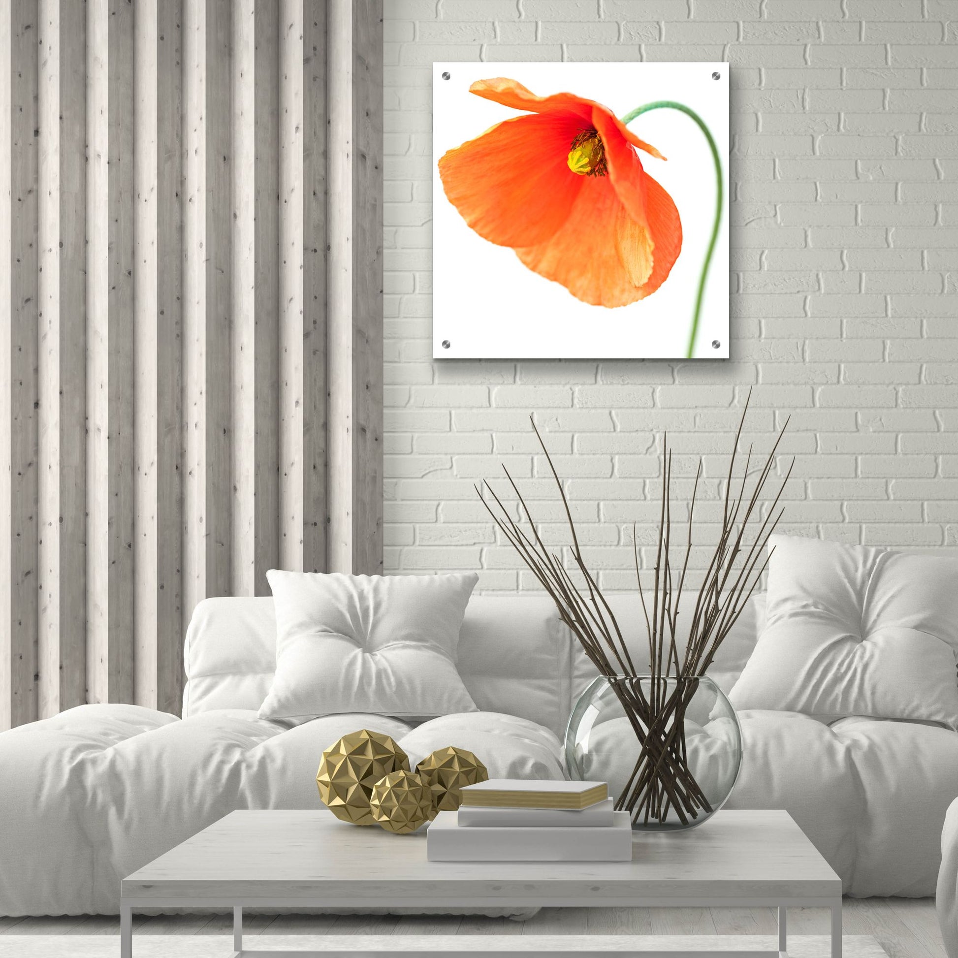 Epic Art 'Red Poppy On White 01' by Tom Quartermaine, Acrylic Glass Wall Art,24x24