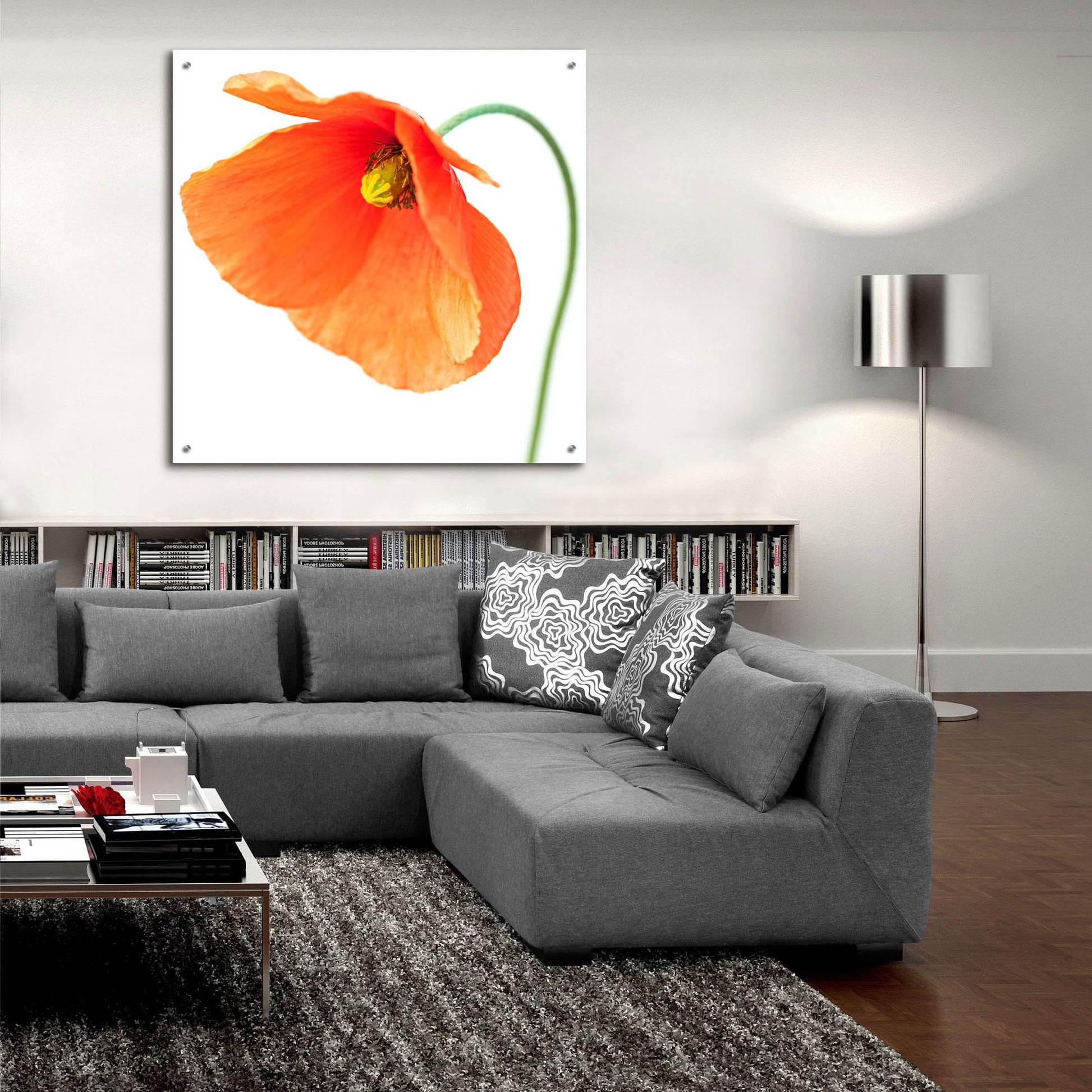 Epic Art 'Red Poppy On White 01' by Tom Quartermaine, Acrylic Glass Wall Art,36x36