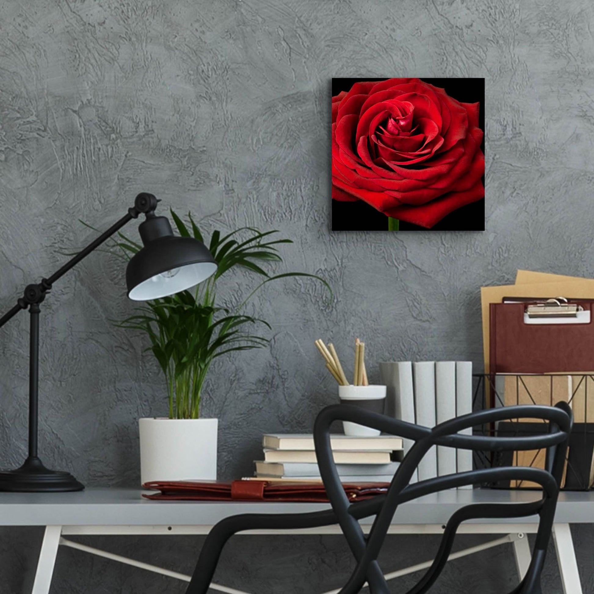 Epic Art 'Red Rose 02' by Tom Quartermaine, Acrylic Glass Wall Art,12x12