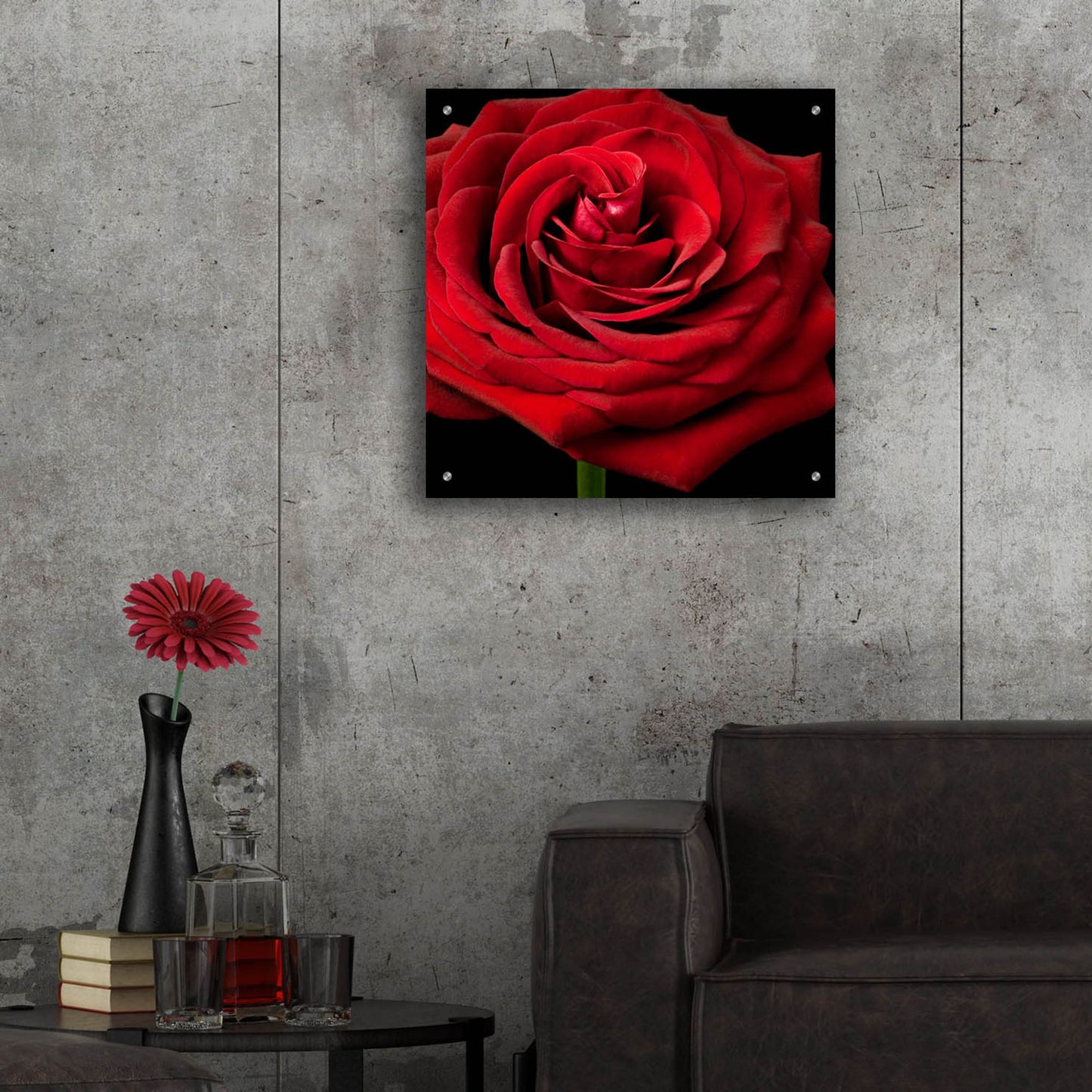 Epic Art 'Red Rose 02' by Tom Quartermaine, Acrylic Glass Wall Art,24x24