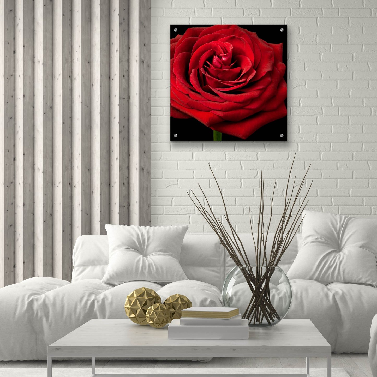 Epic Art 'Red Rose 02' by Tom Quartermaine, Acrylic Glass Wall Art,24x24