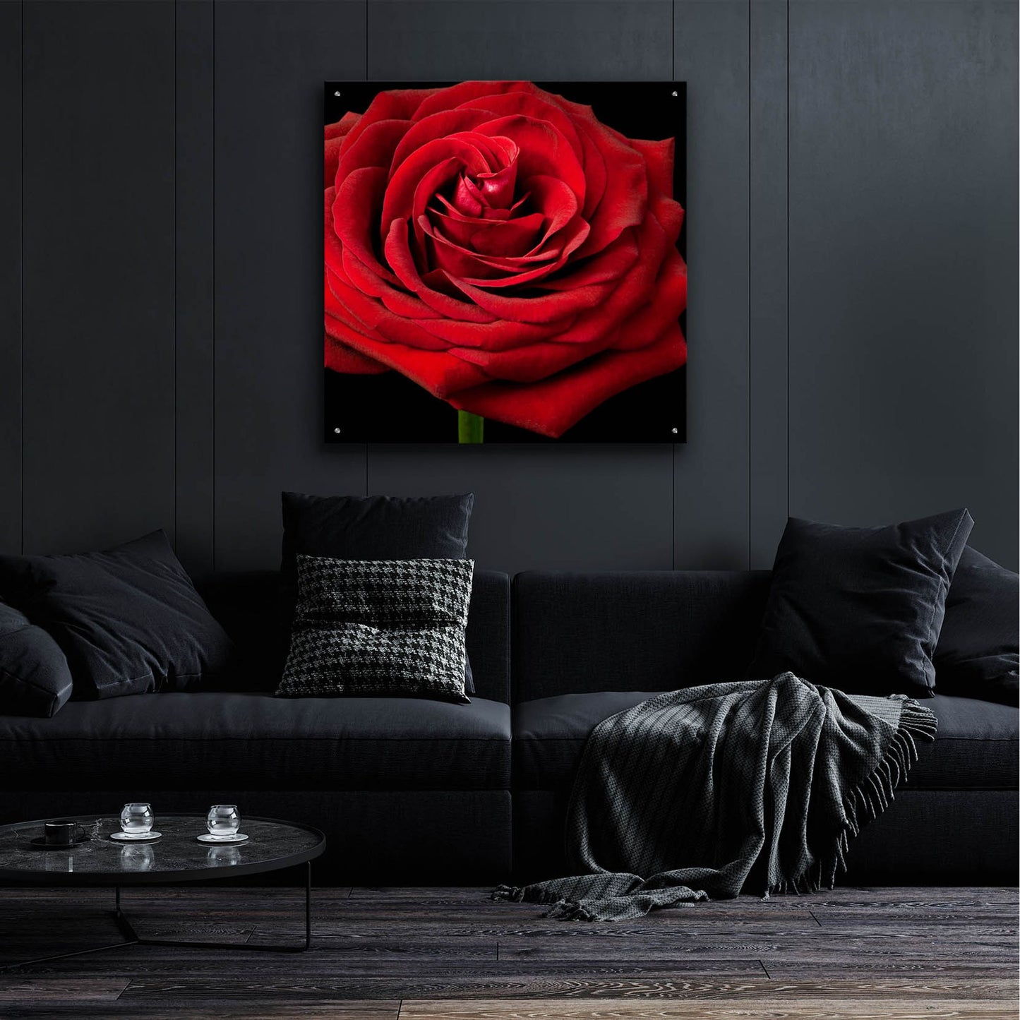 Epic Art 'Red Rose 02' by Tom Quartermaine, Acrylic Glass Wall Art,36x36