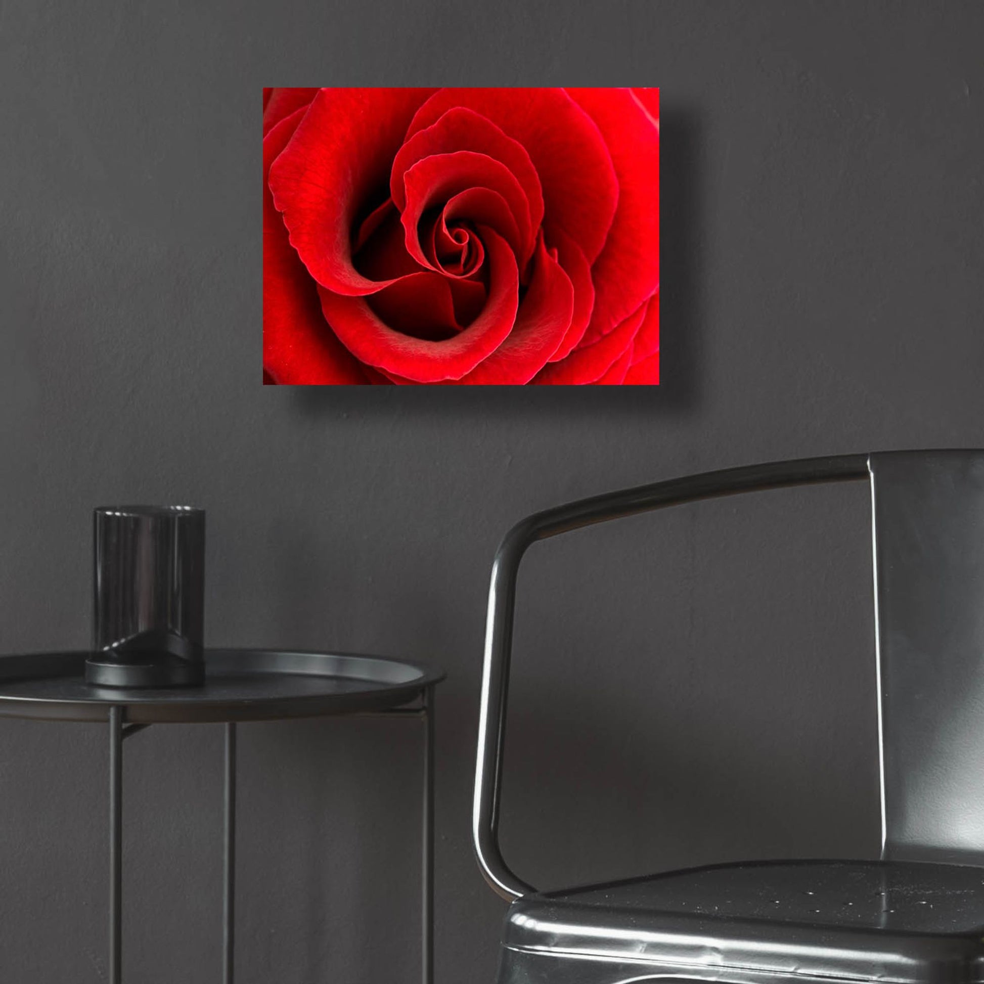 Epic Art 'Red Rose 03' by Tom Quartermaine, Acrylic Glass Wall Art,16x12