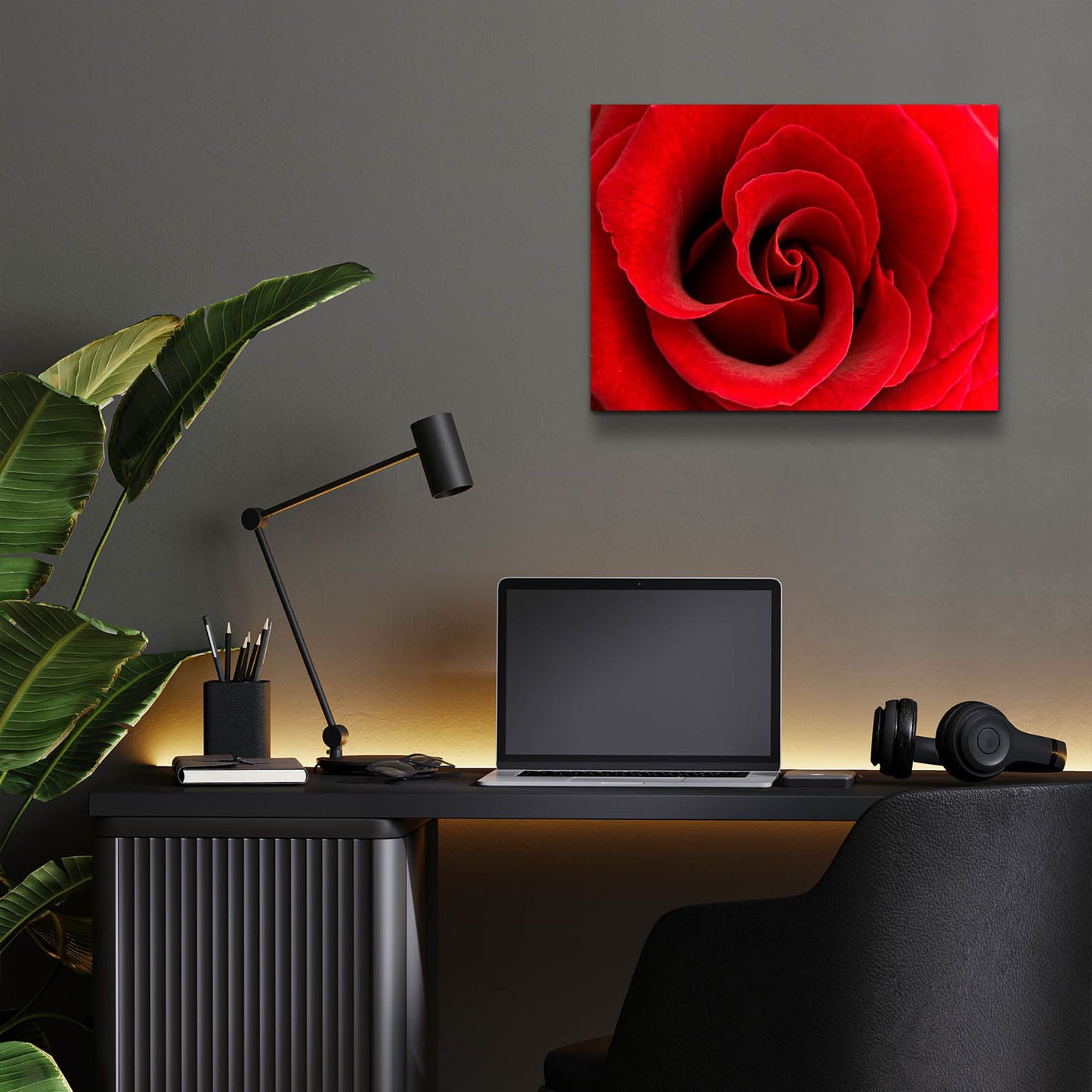 Epic Art 'Red Rose 03' by Tom Quartermaine, Acrylic Glass Wall Art,16x12