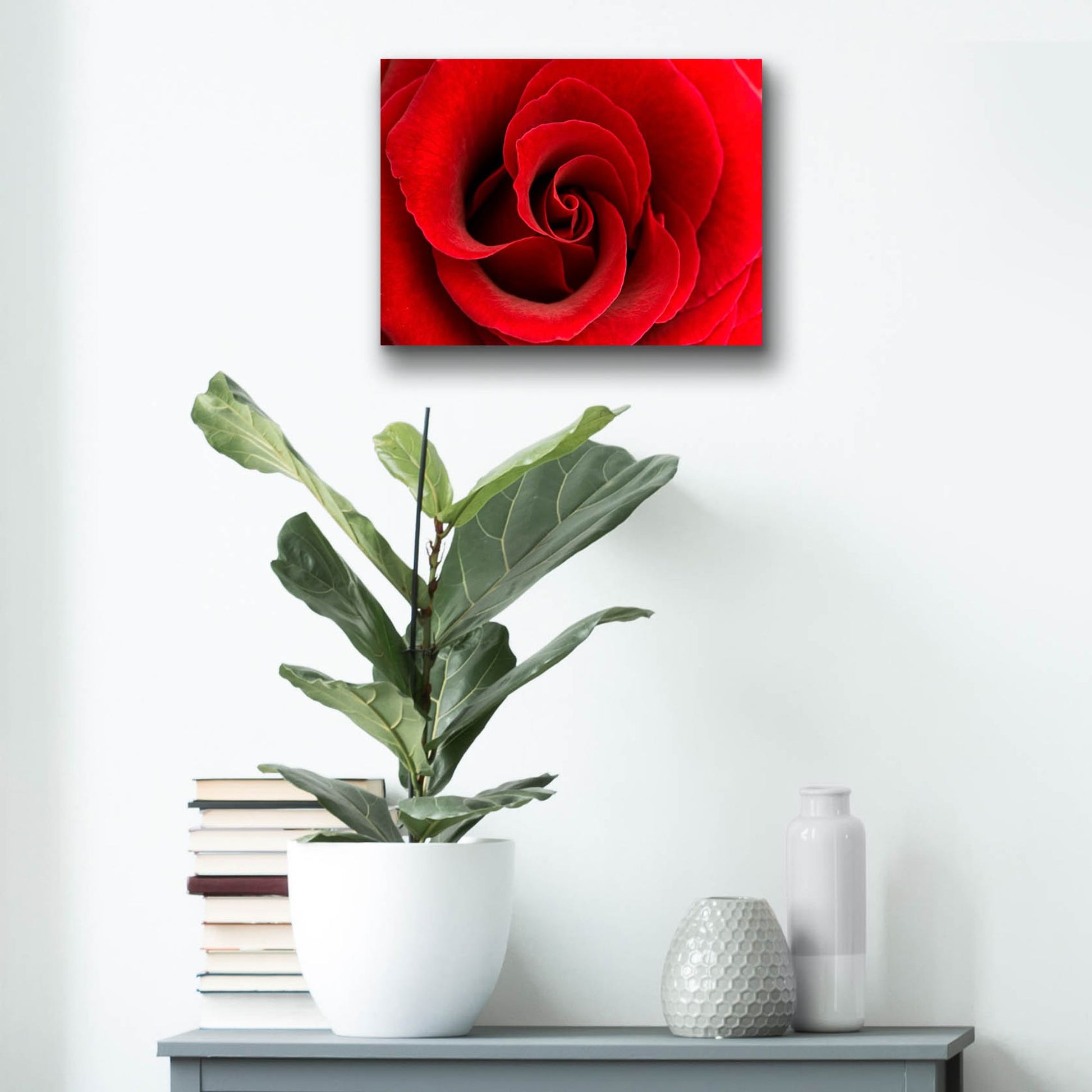 Epic Art 'Red Rose 03' by Tom Quartermaine, Acrylic Glass Wall Art,16x12