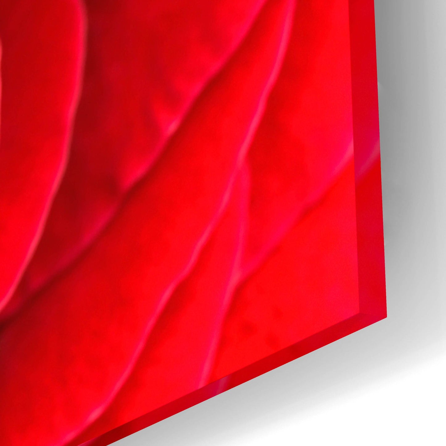 Epic Art 'Red Rose 03' by Tom Quartermaine, Acrylic Glass Wall Art,24x16