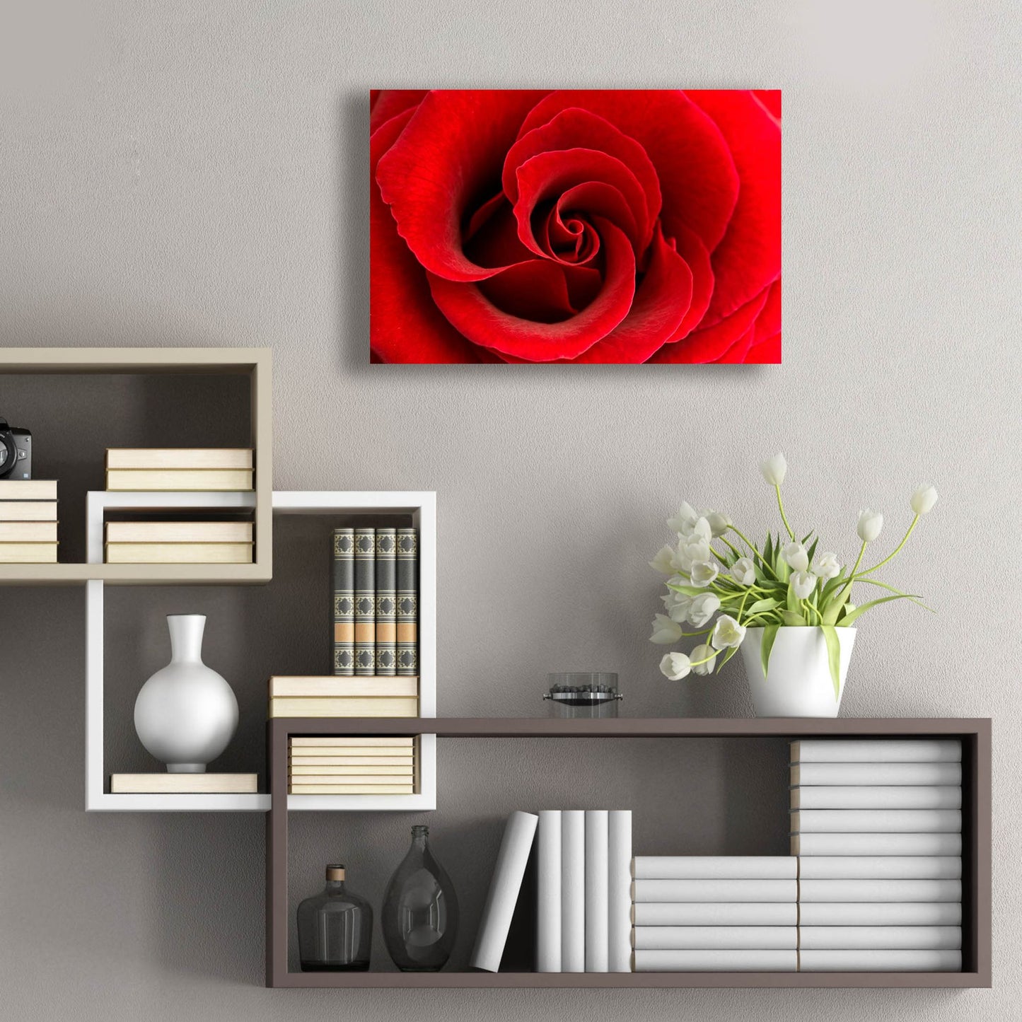 Epic Art 'Red Rose 03' by Tom Quartermaine, Acrylic Glass Wall Art,24x16