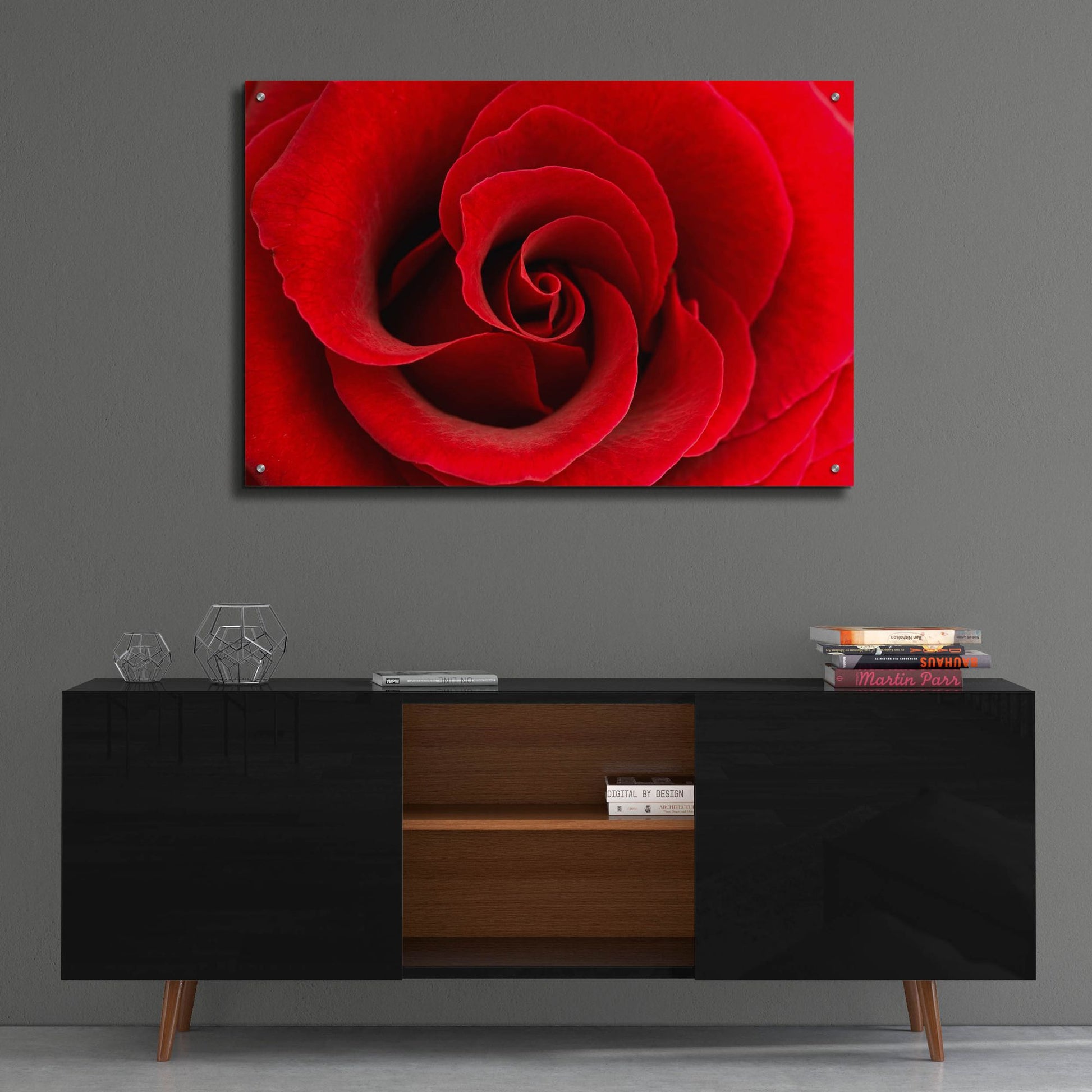 Epic Art 'Red Rose 03' by Tom Quartermaine, Acrylic Glass Wall Art,36x24